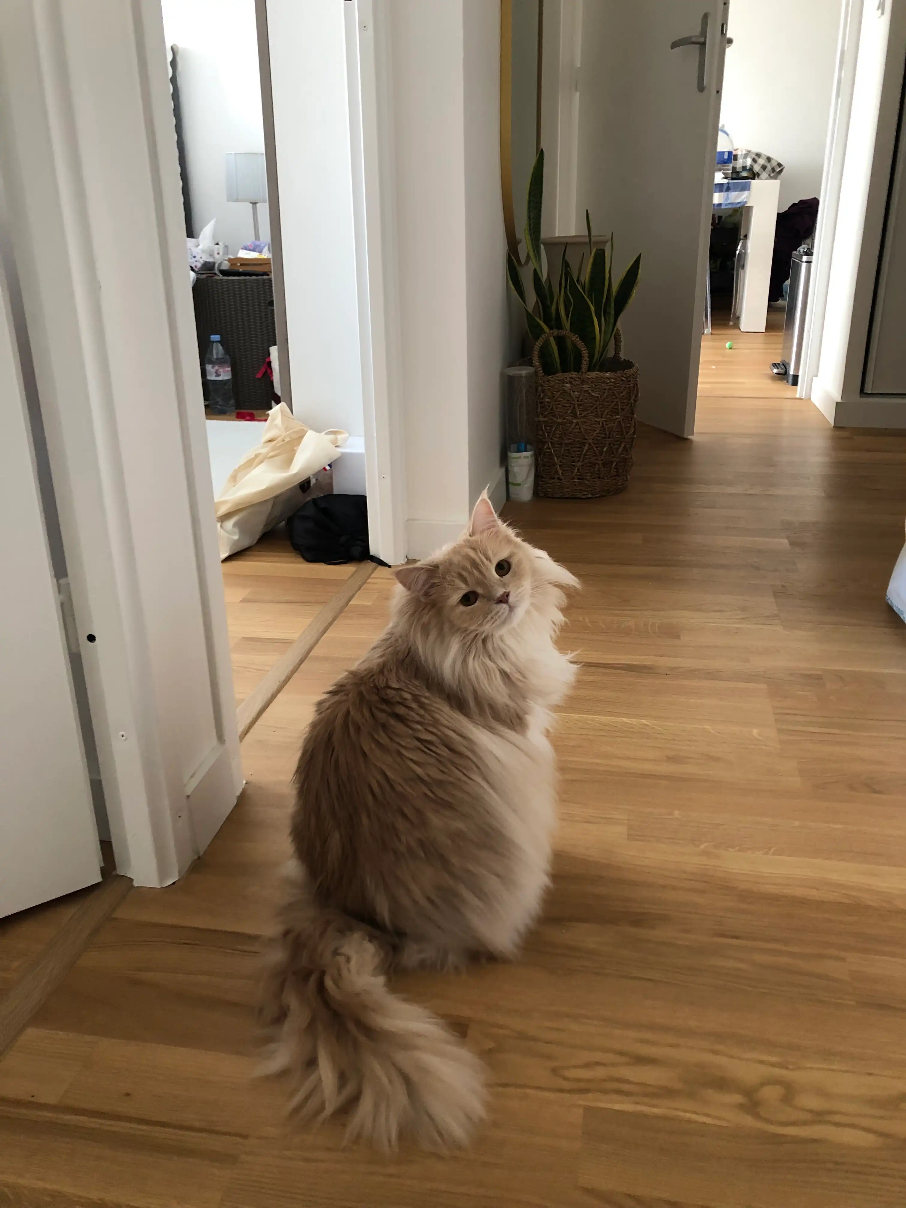 image-16