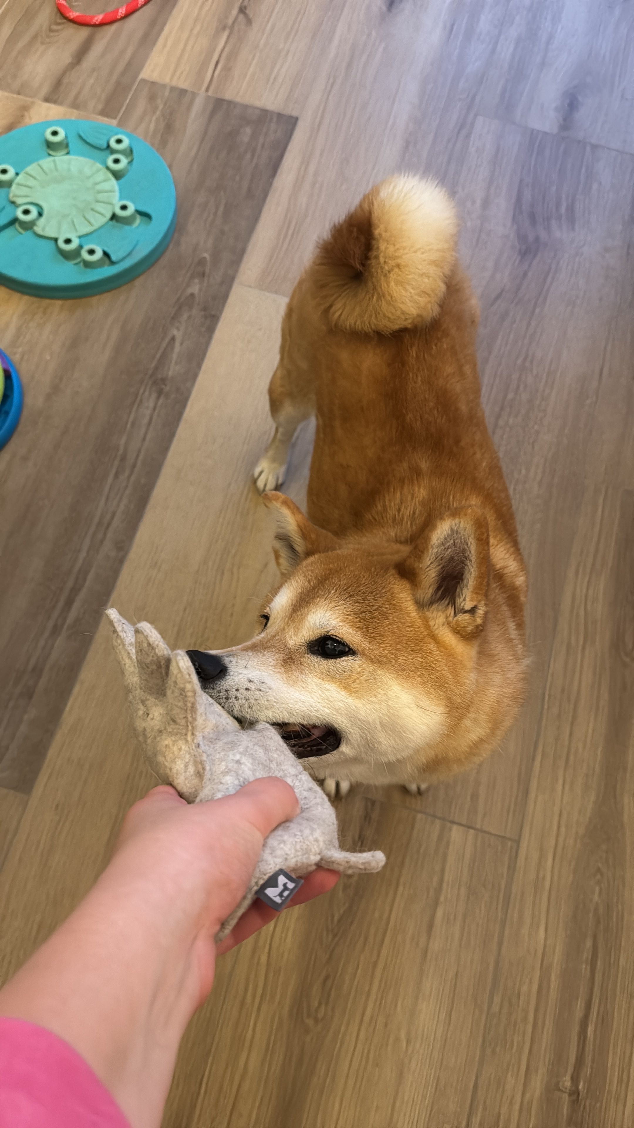 image-9