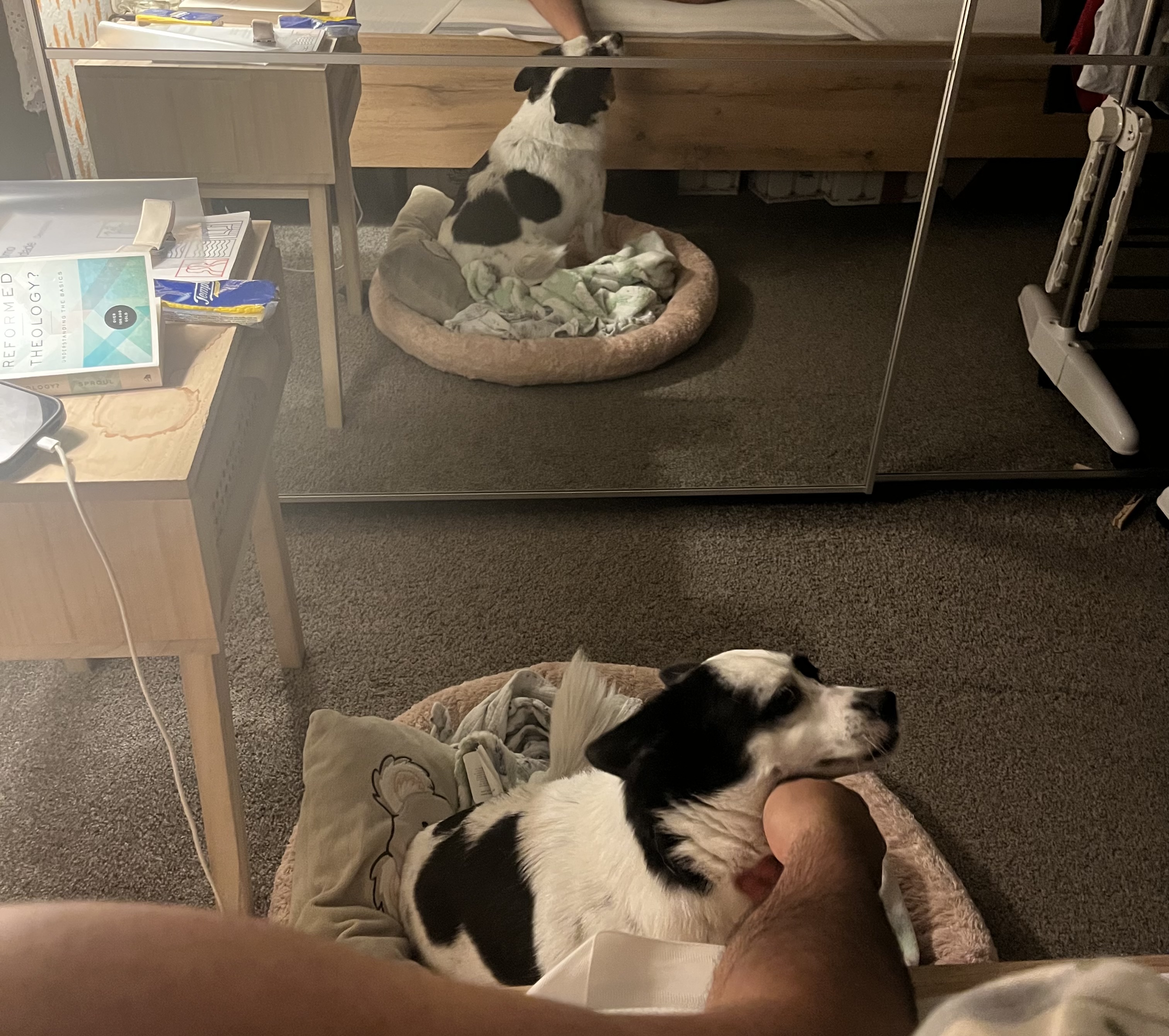 image-8