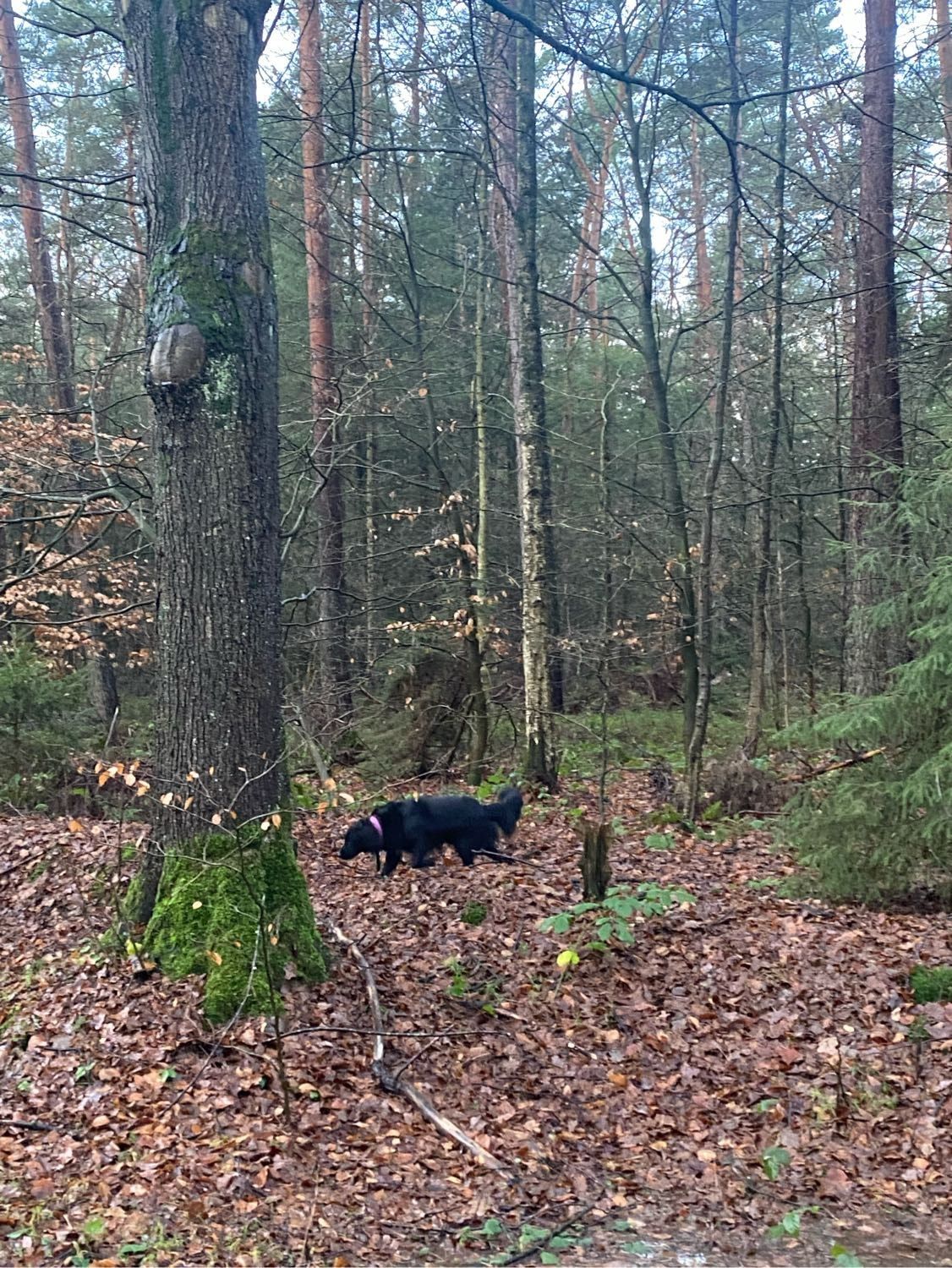 image-6