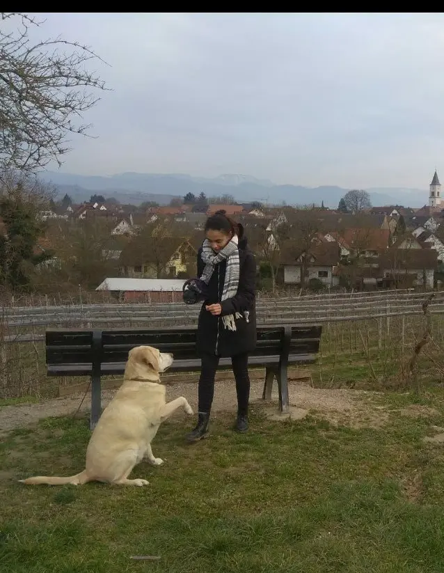 image-3