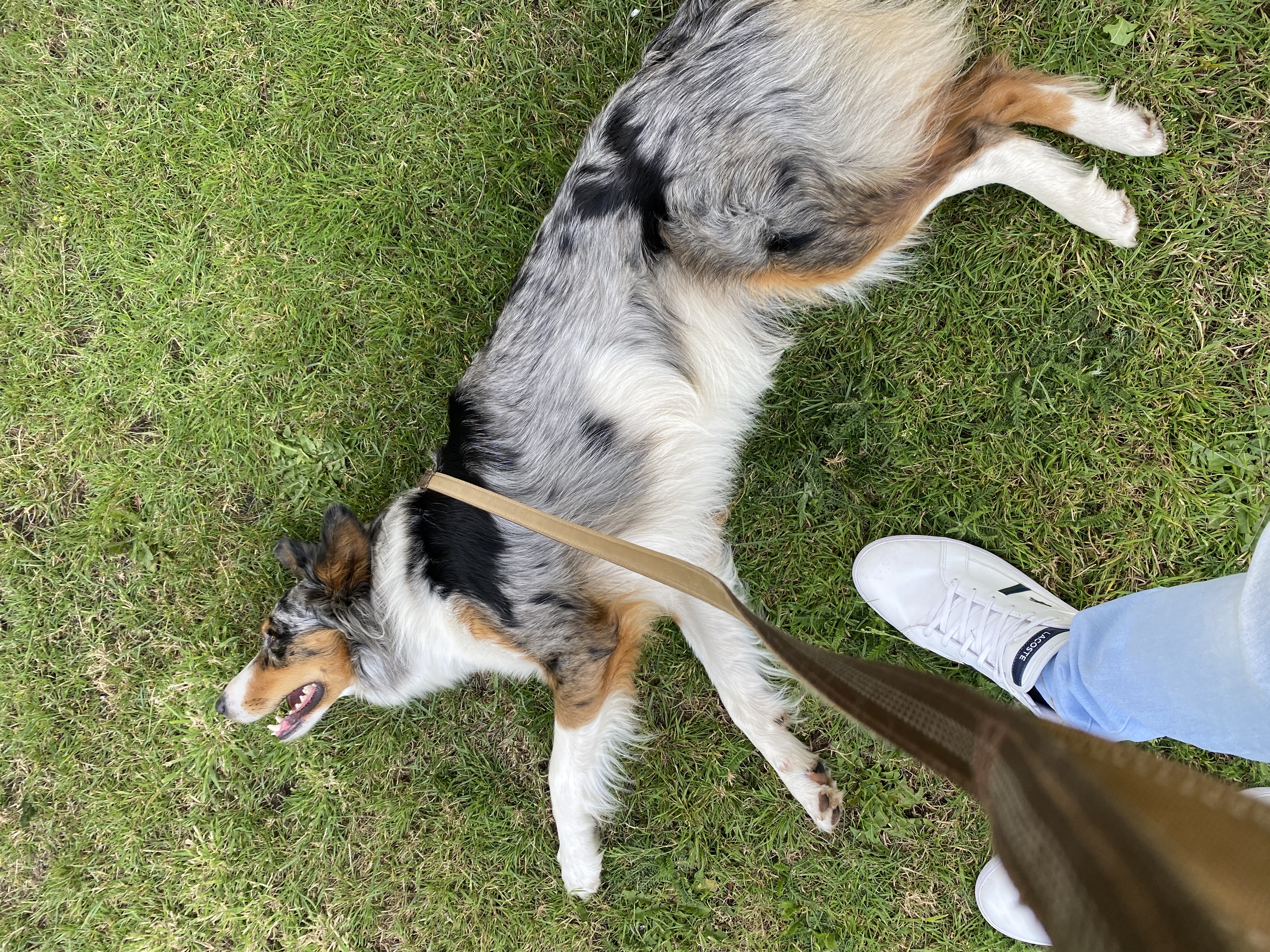 image-6