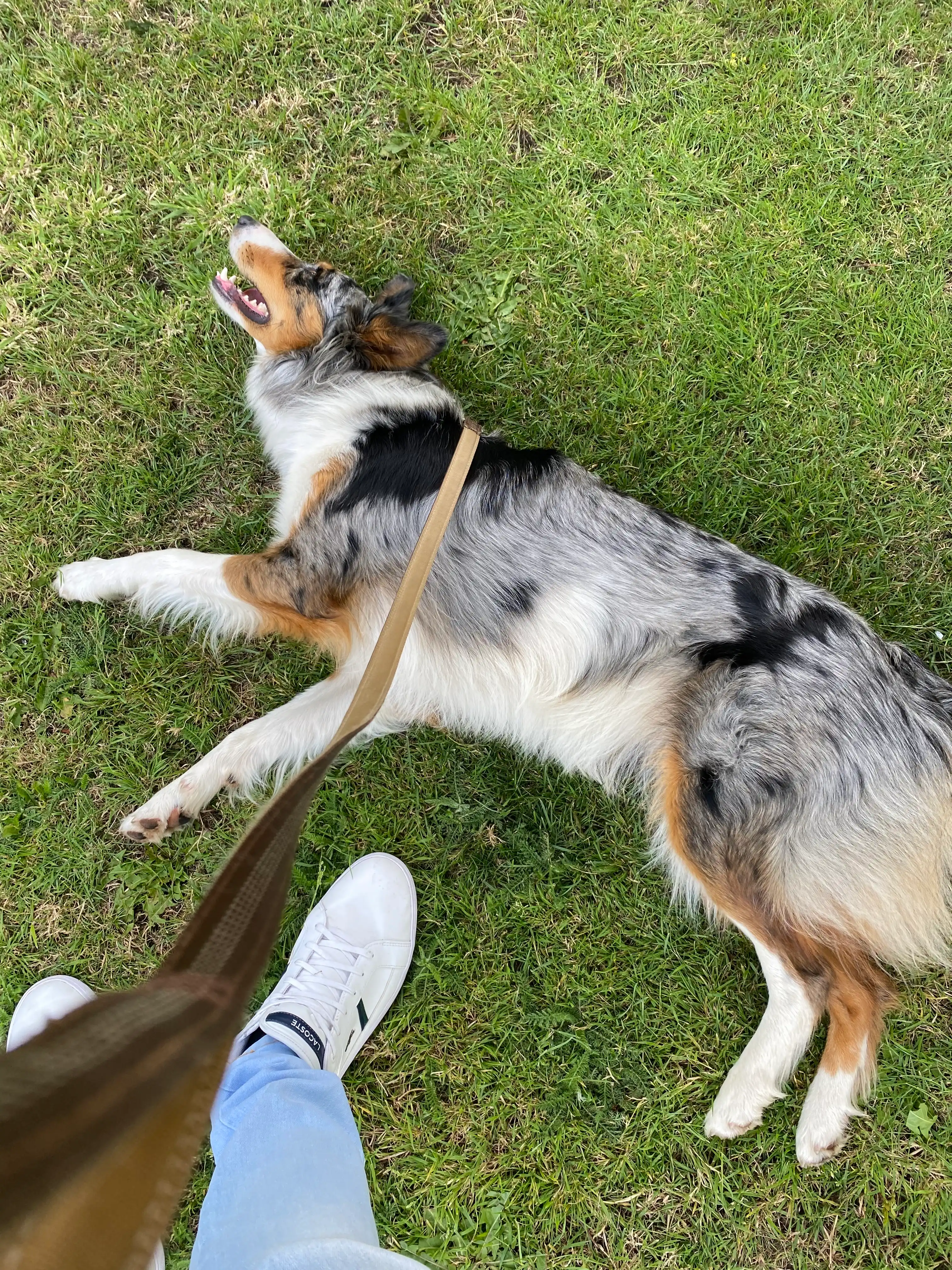 image-6