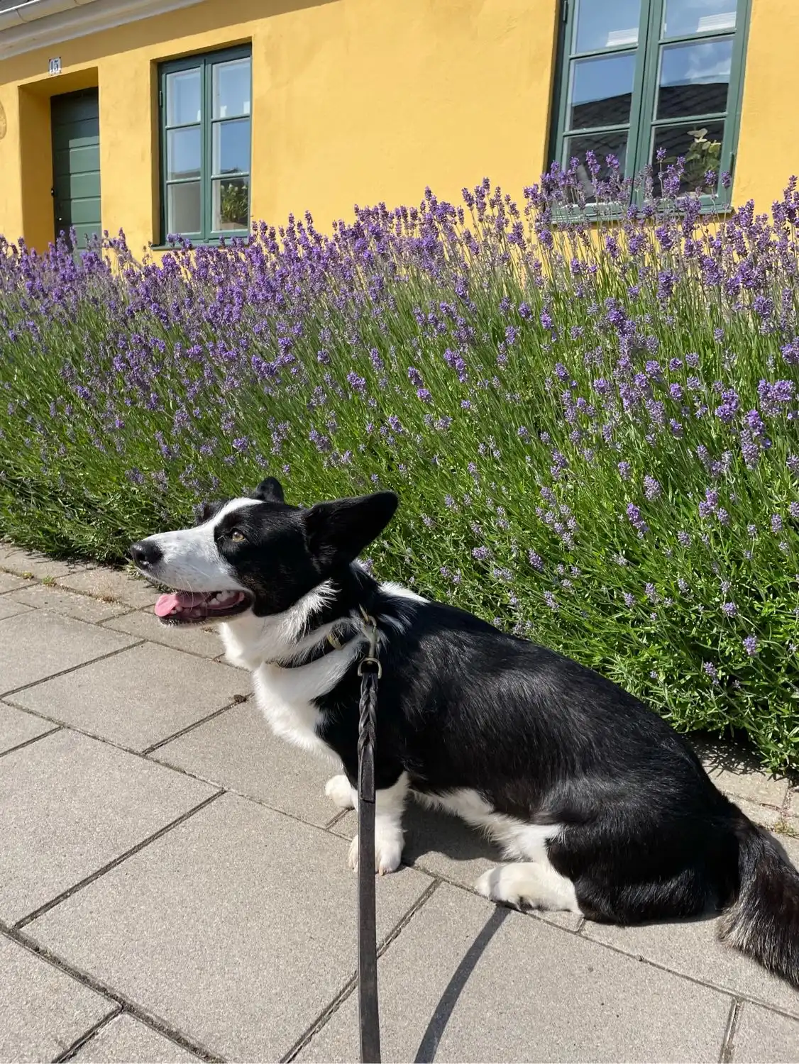 image-10