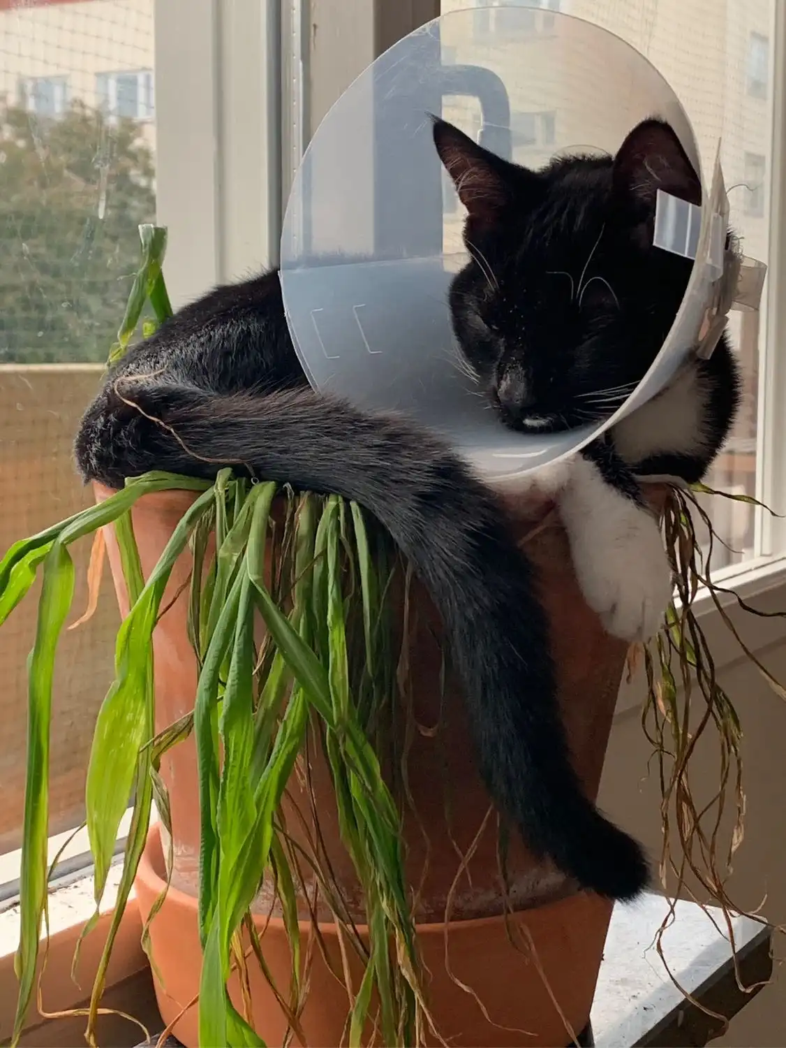 image-6