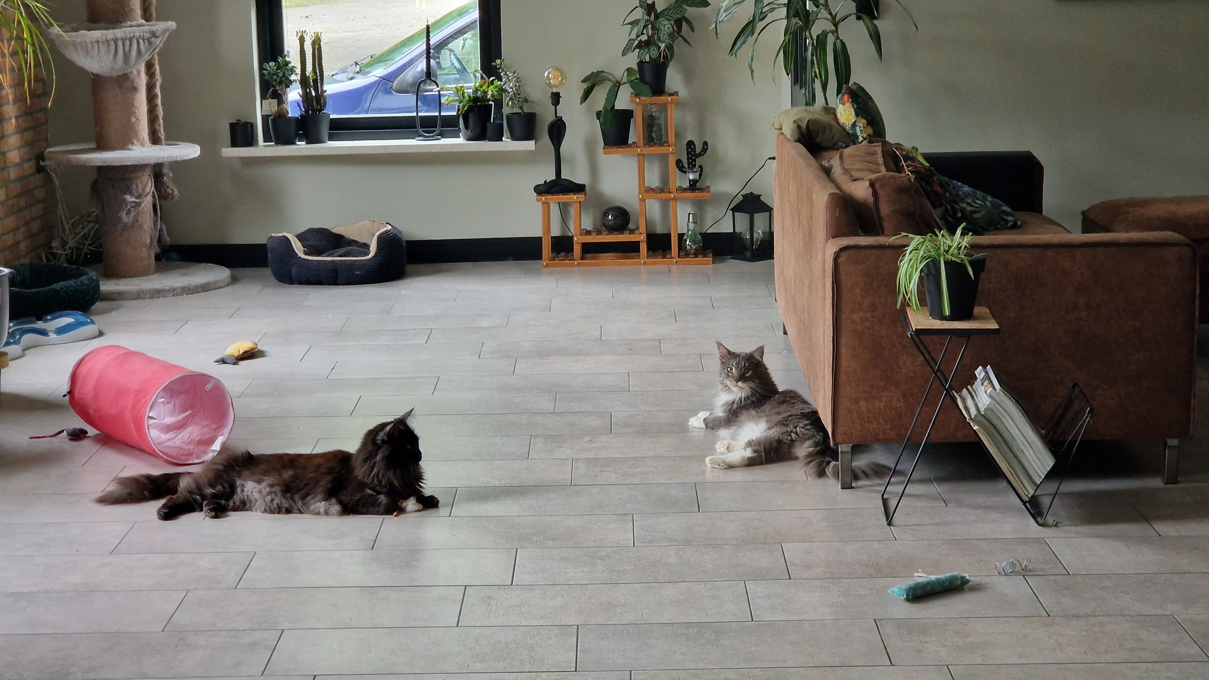 image-16