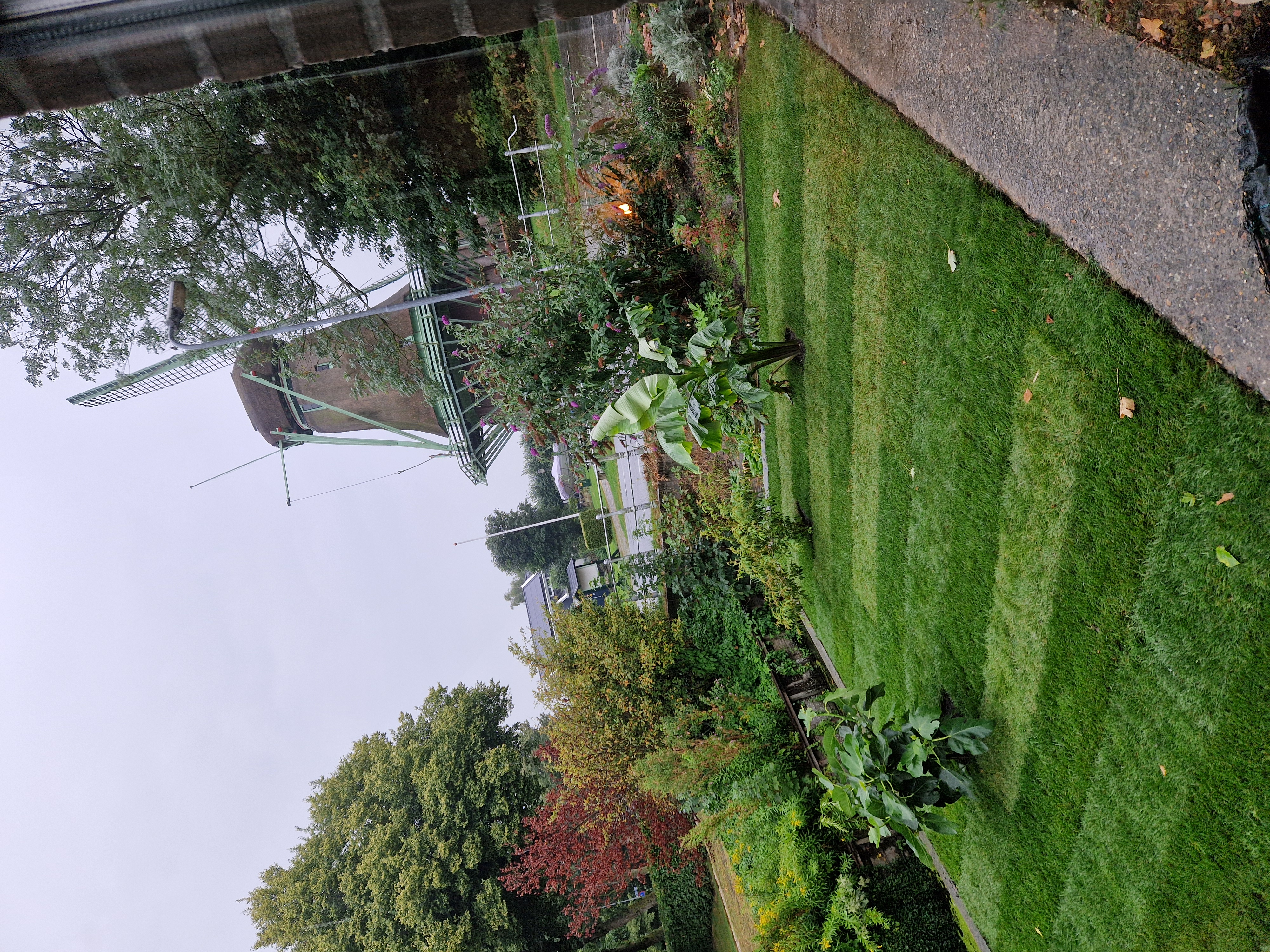 image-19
