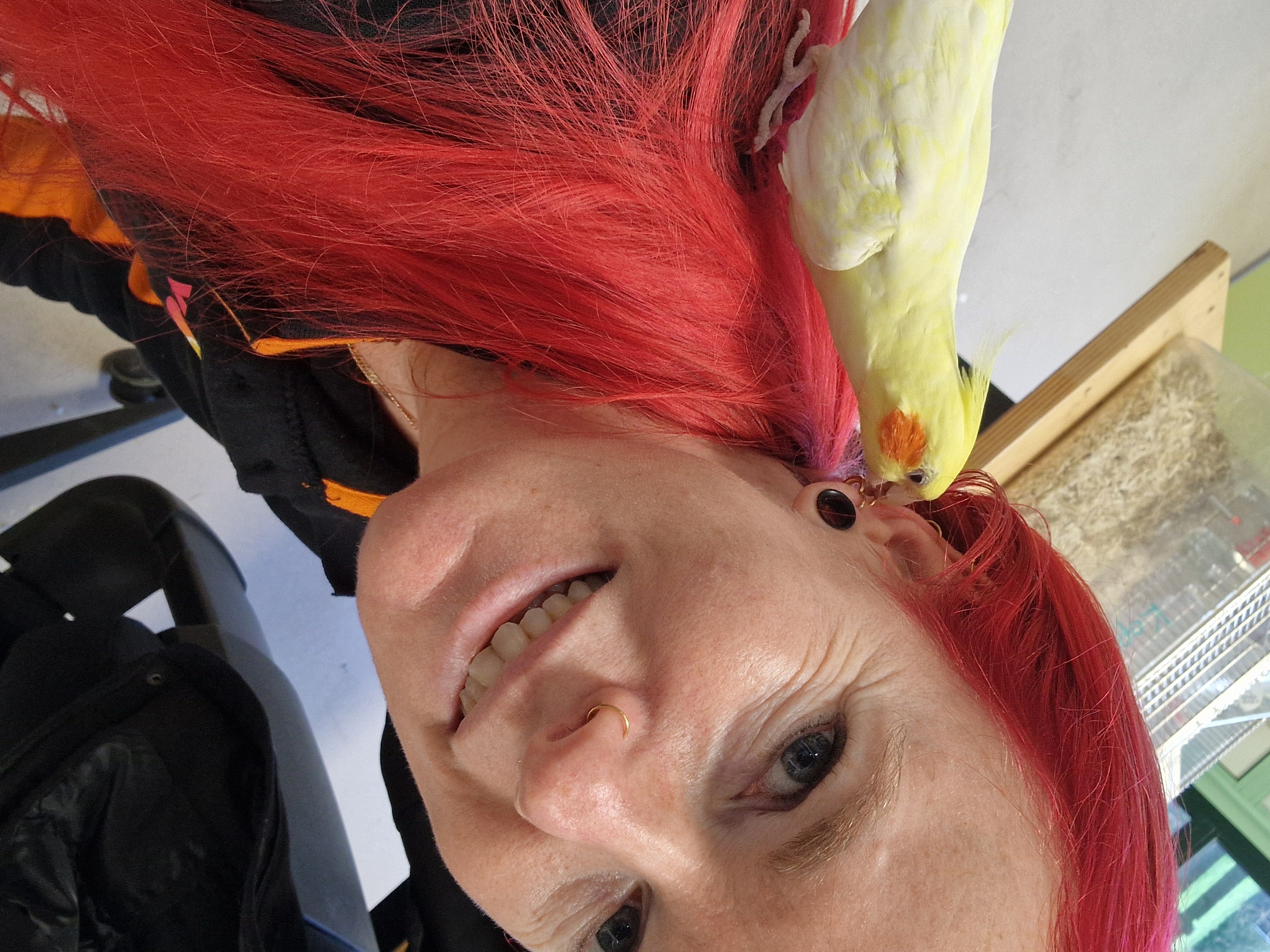 image-4