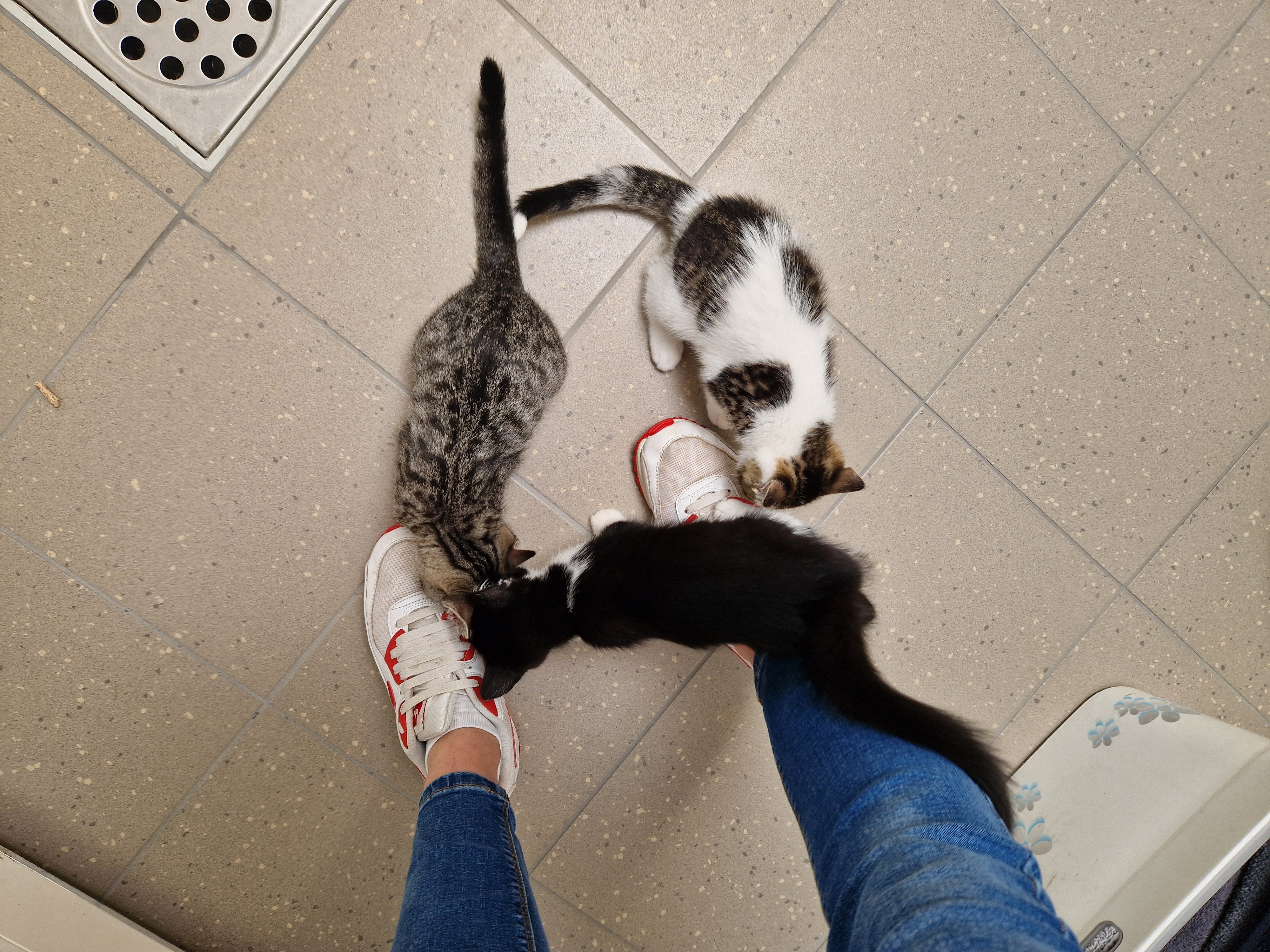 image-9