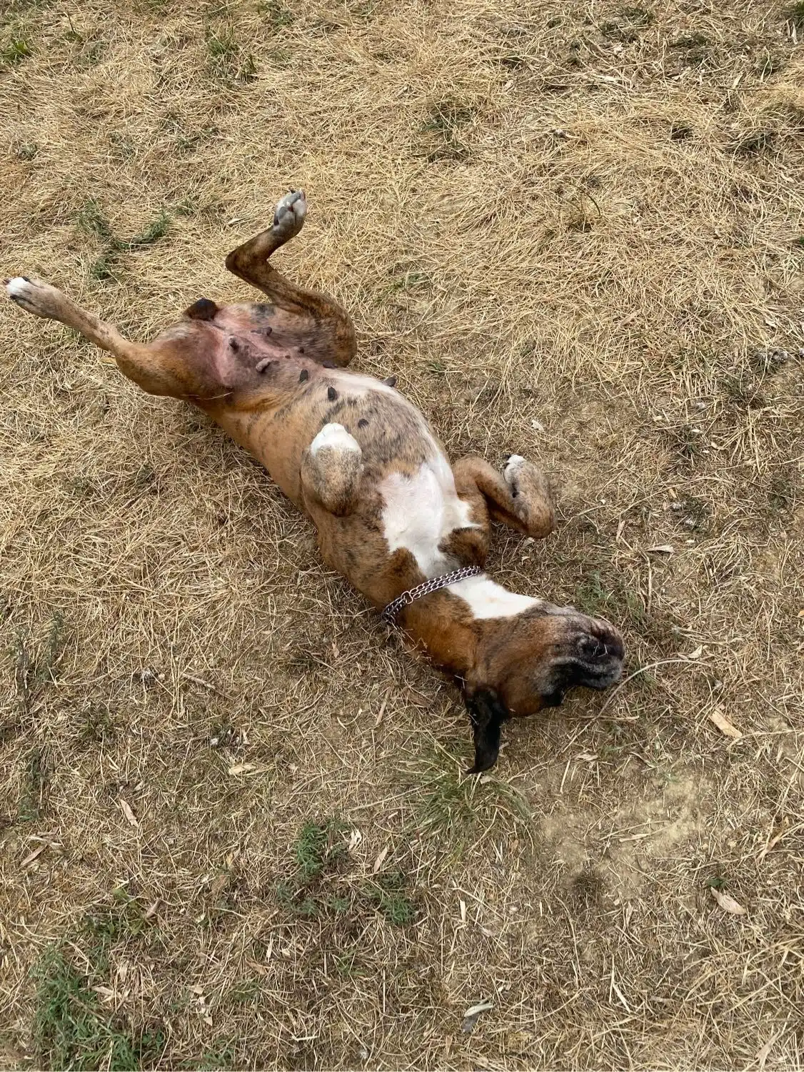 image-6