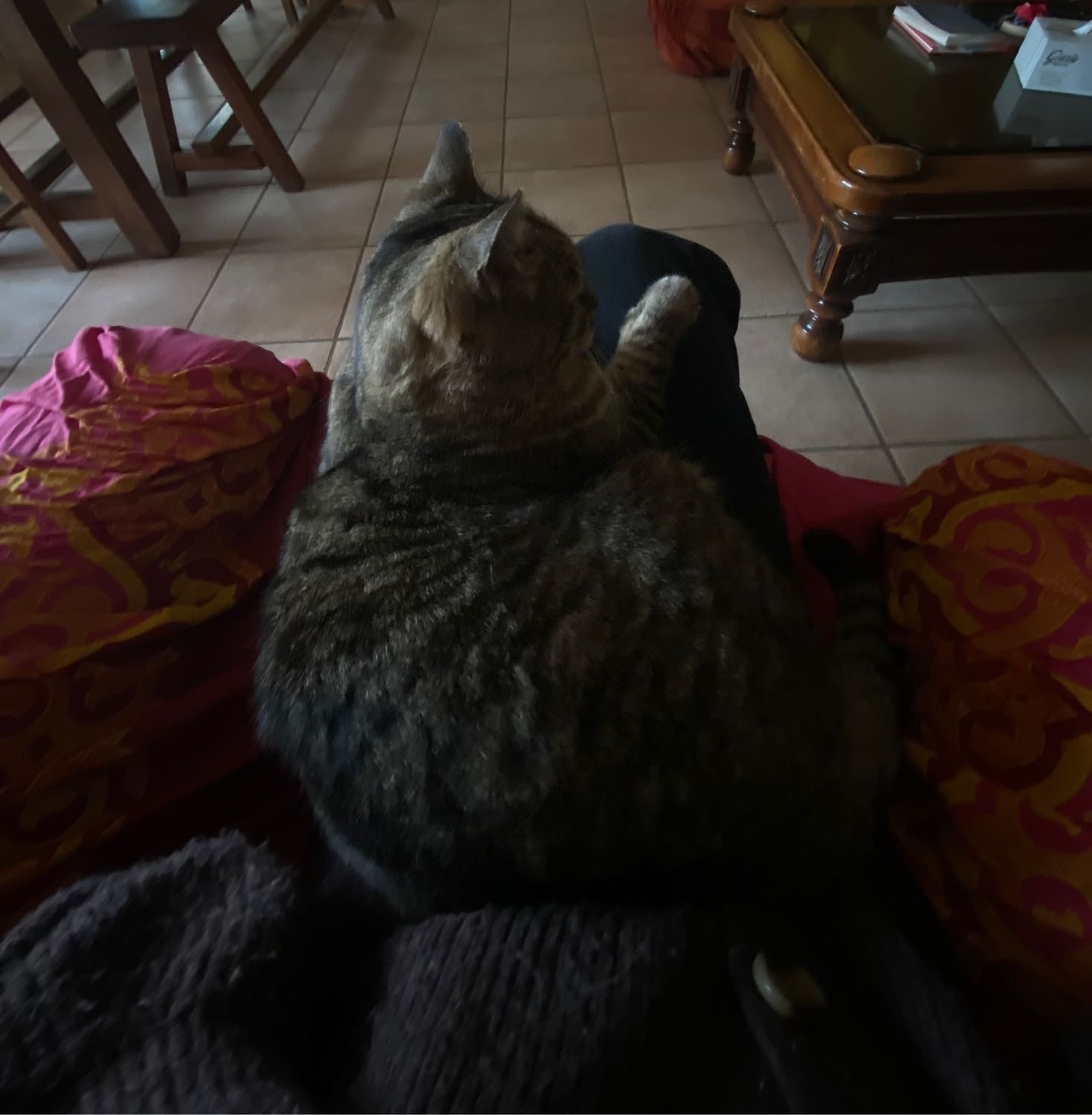 image-7