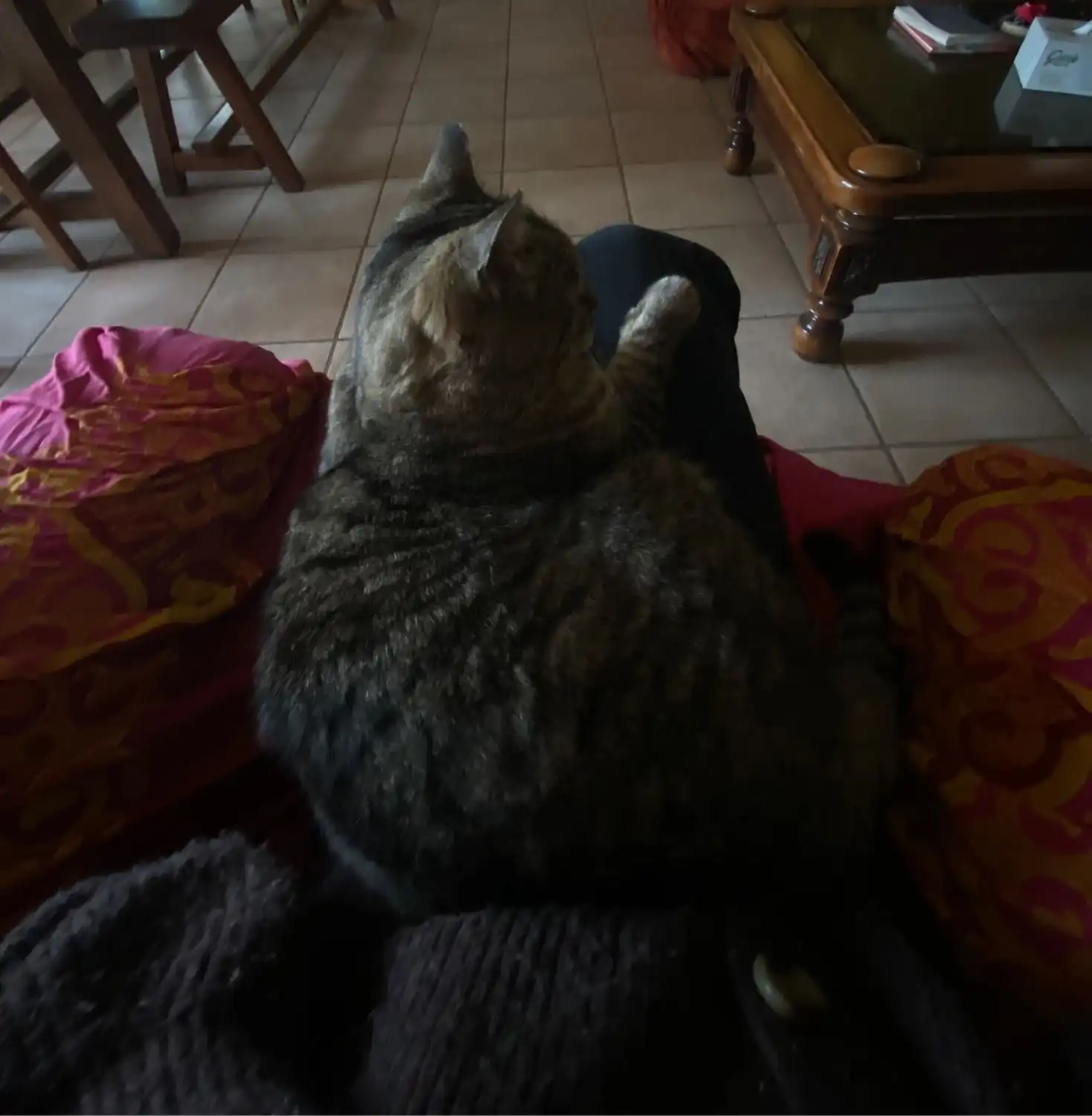 image-7