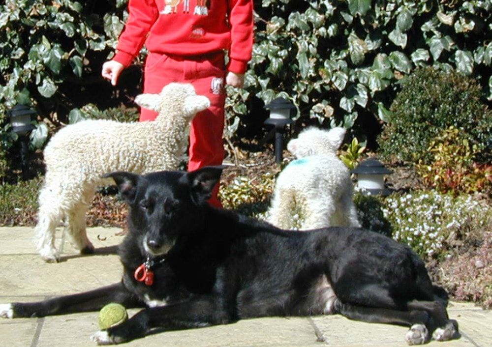 image-5