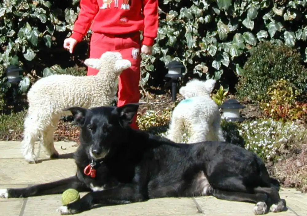 image-5