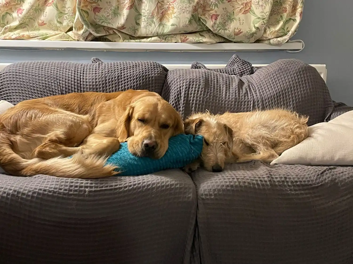 image-5