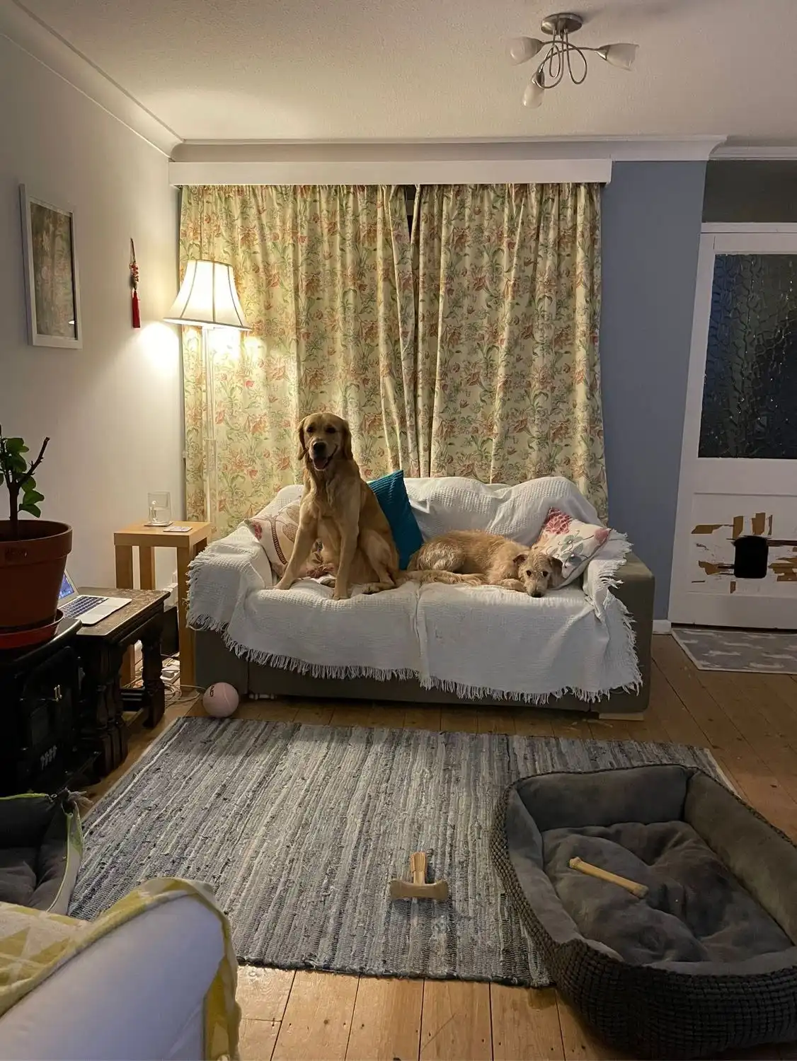 image-14