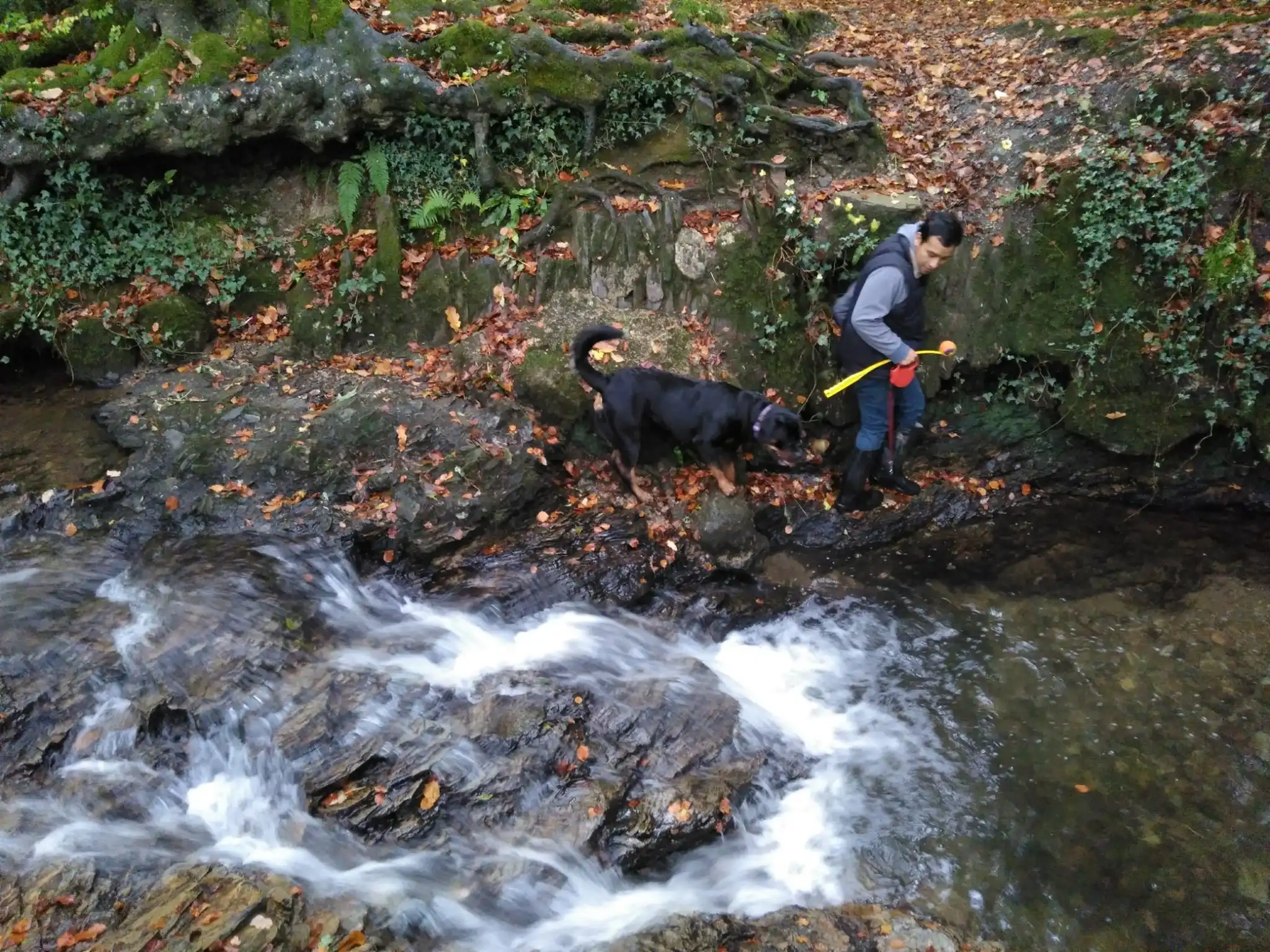 image-34