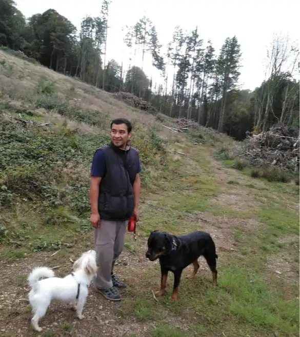 image-32