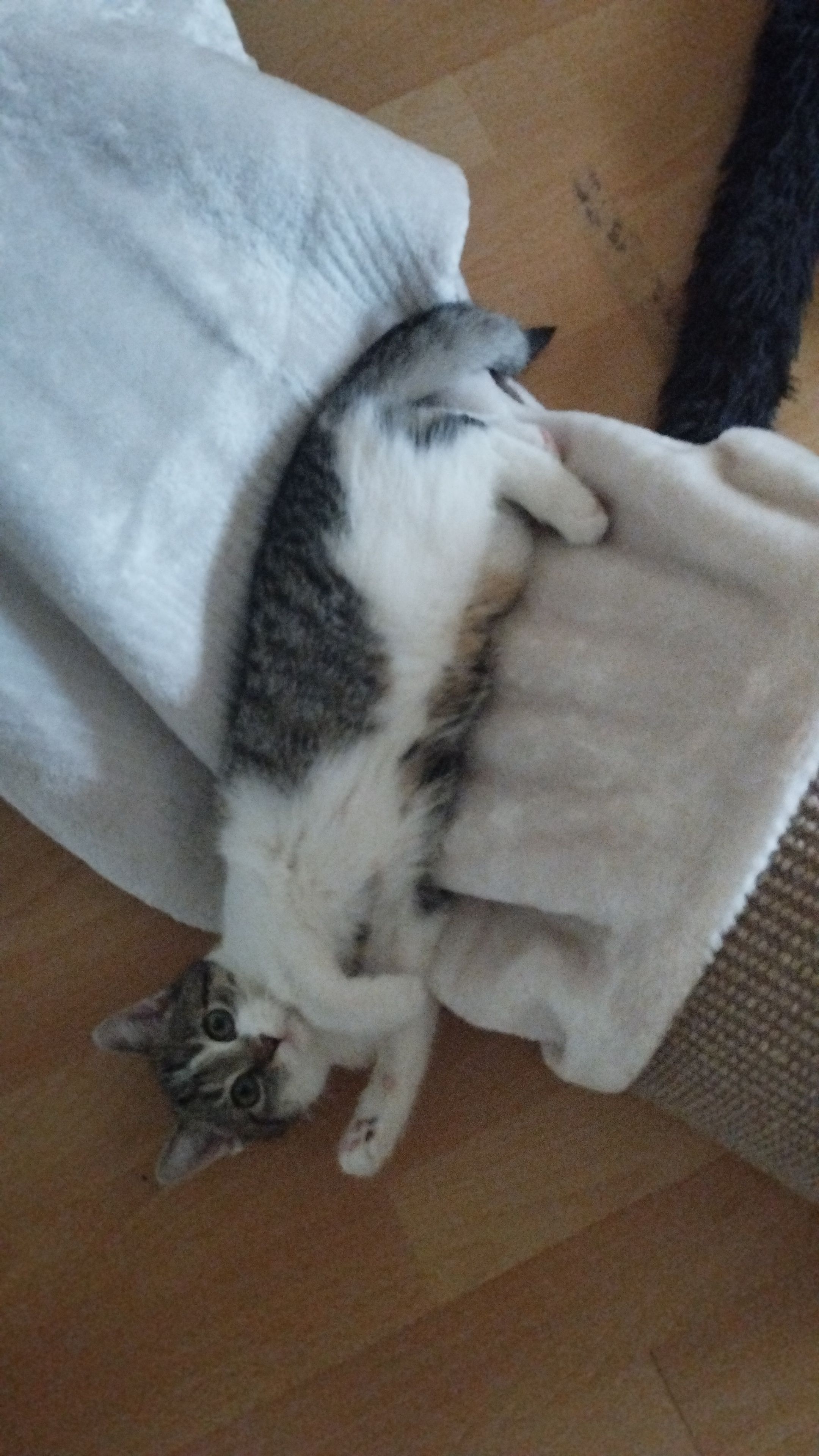 image-8