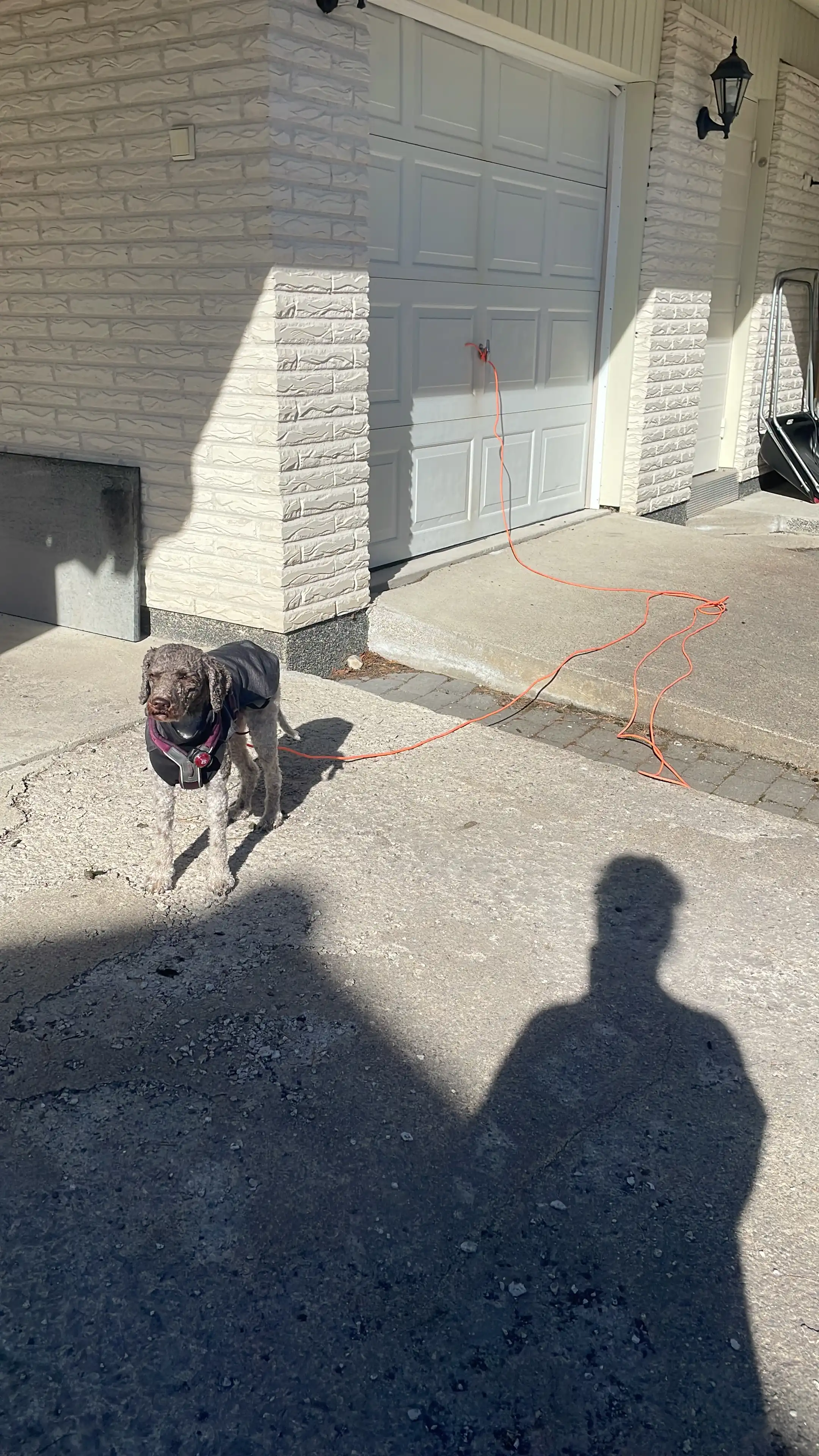 image-17