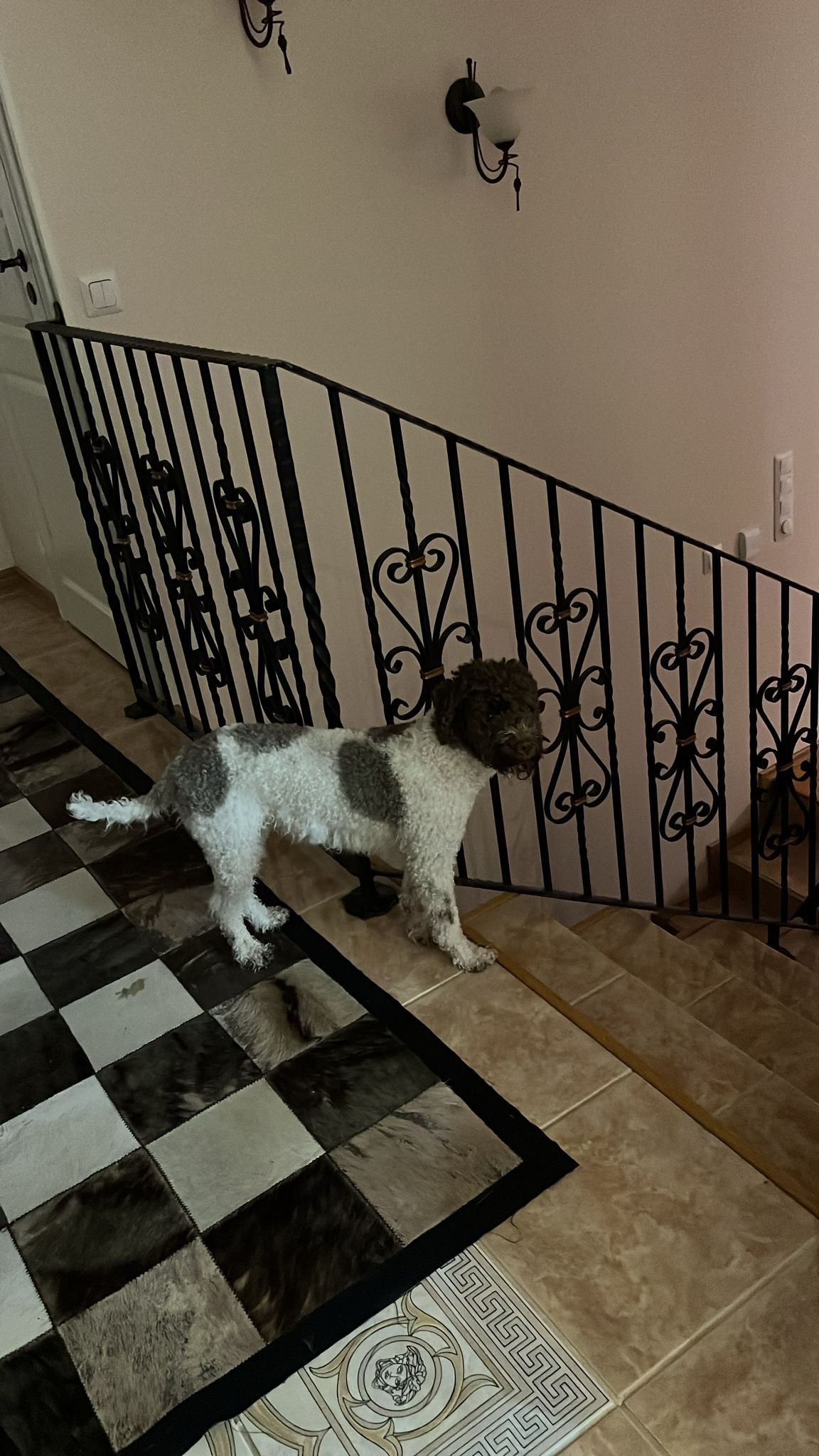 image-10