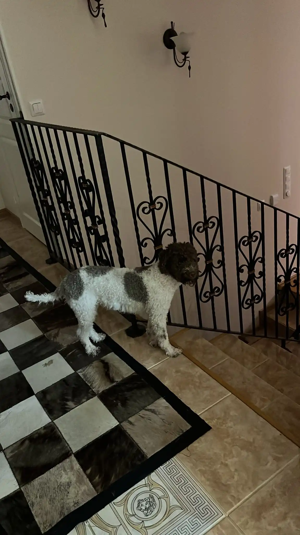 image-10