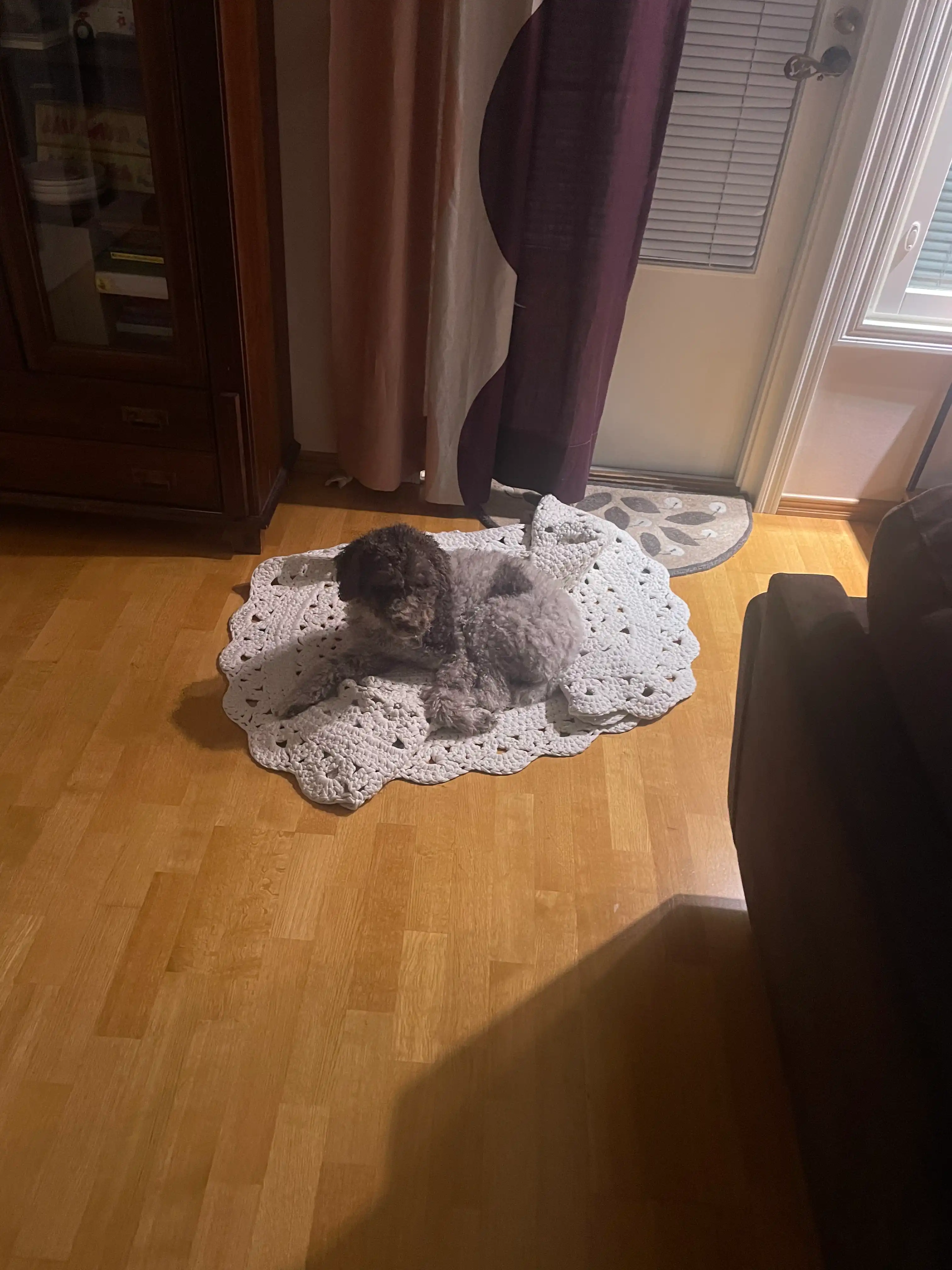 image-11