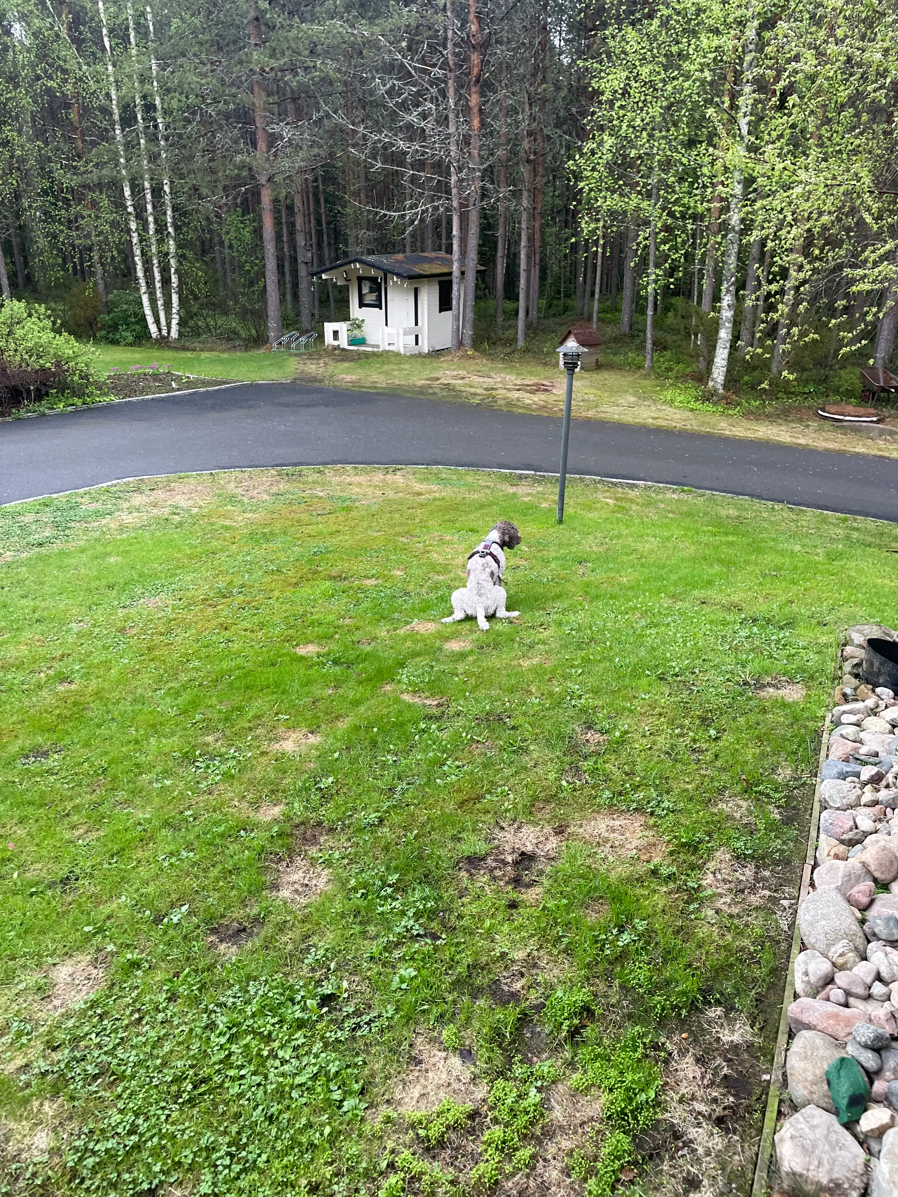 image-19