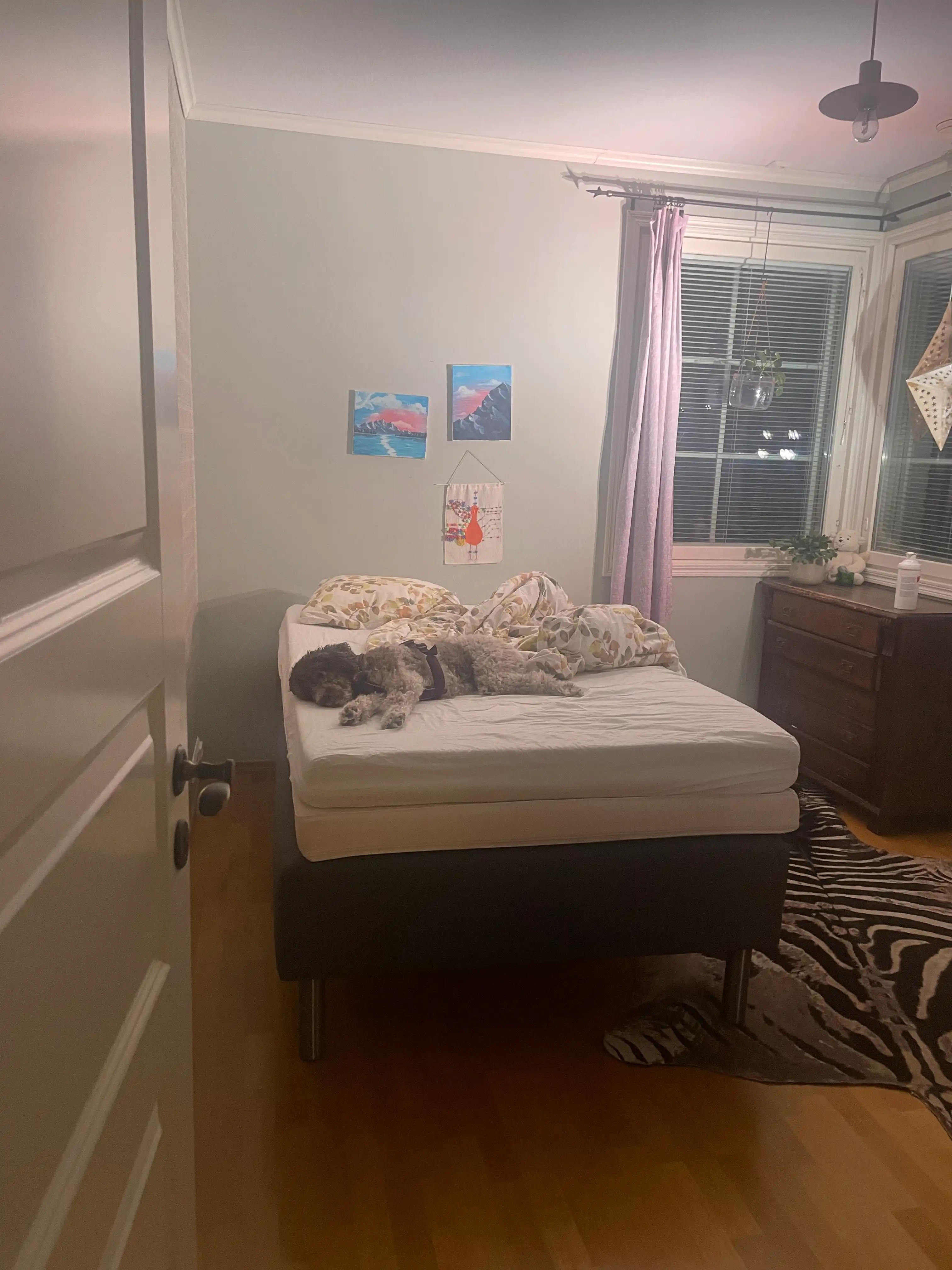 image-13