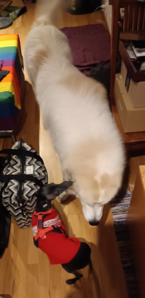 image-16