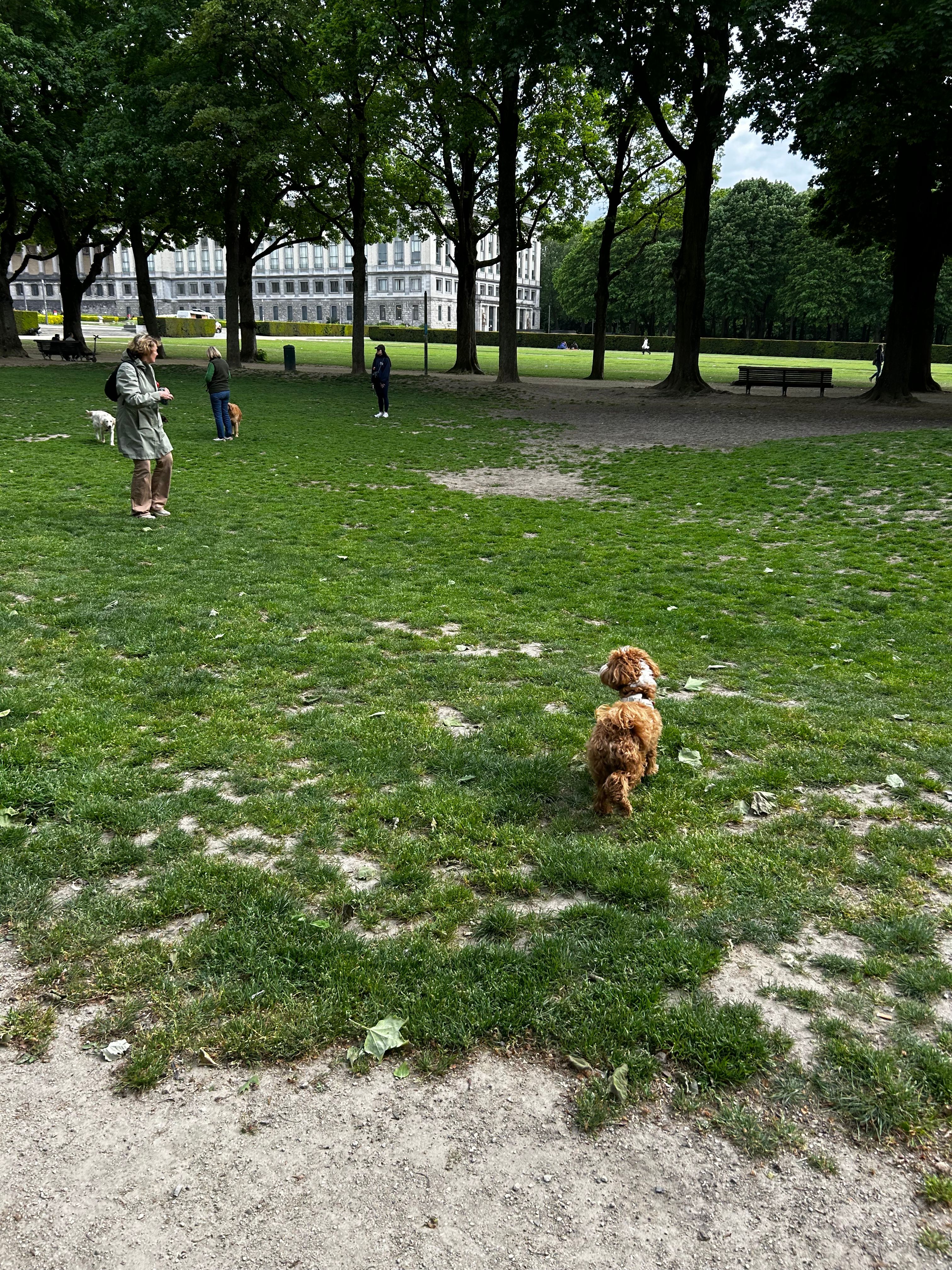 image-18