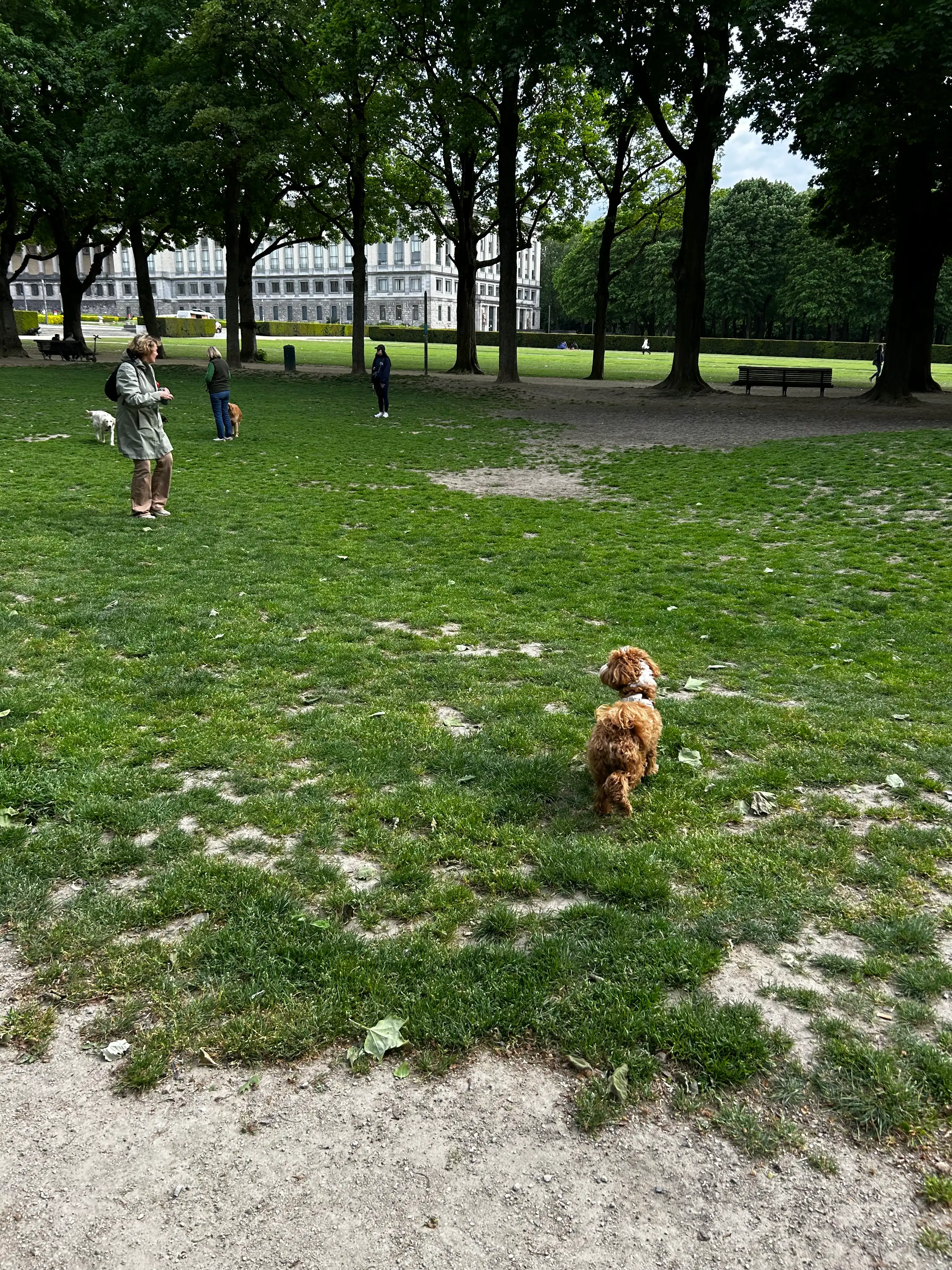 image-18