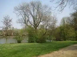 image-23