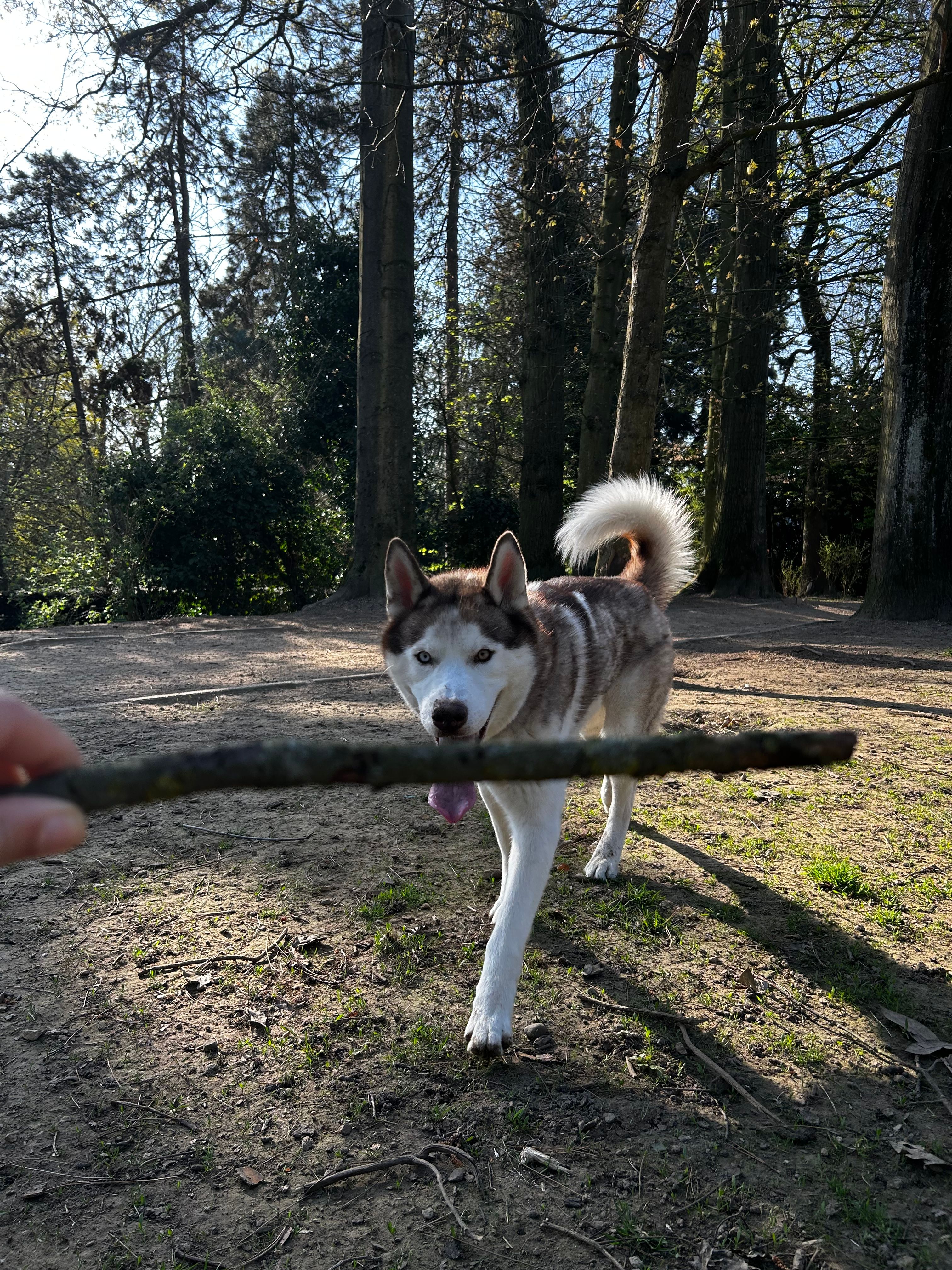 image-8