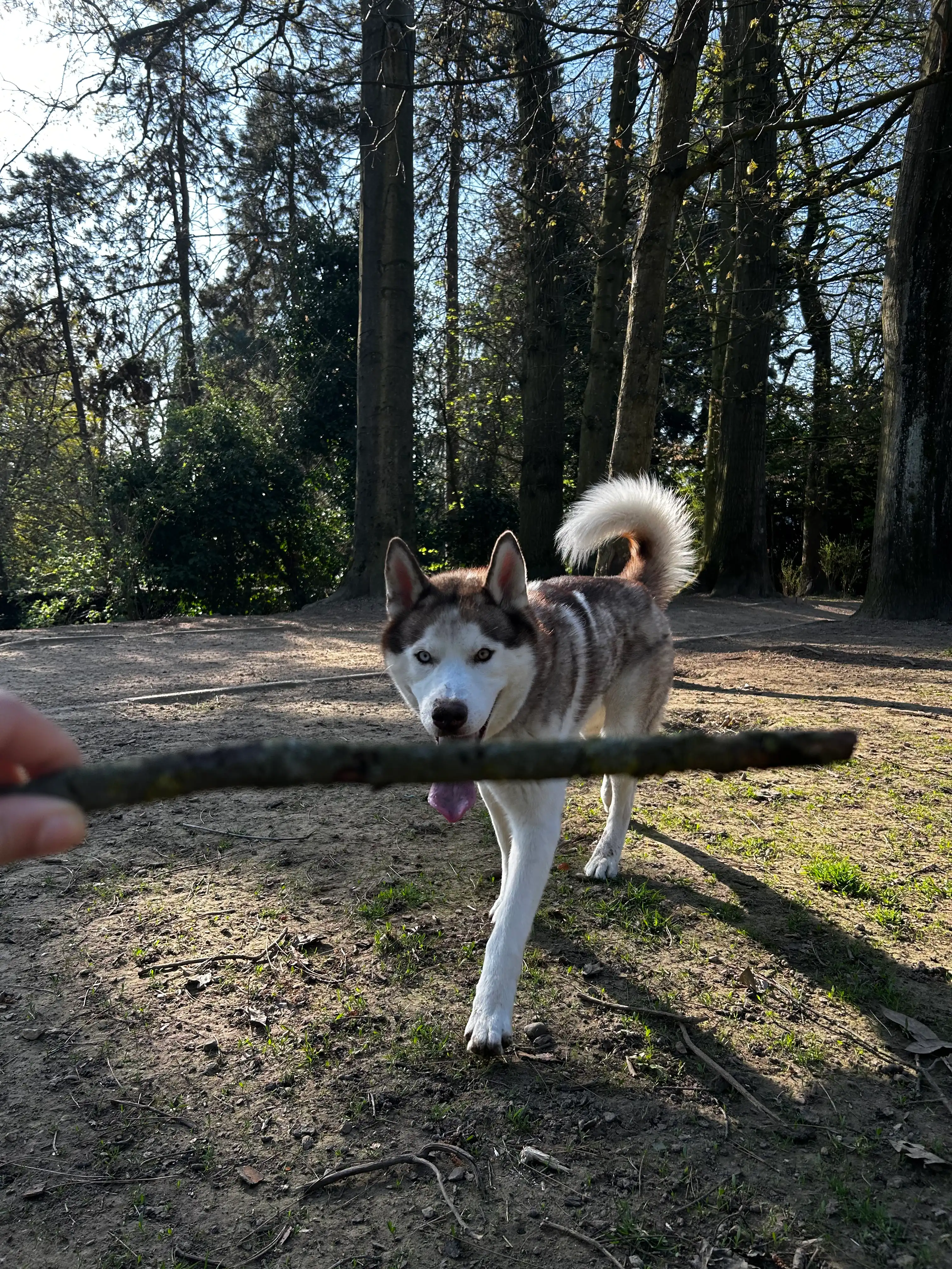 image-8
