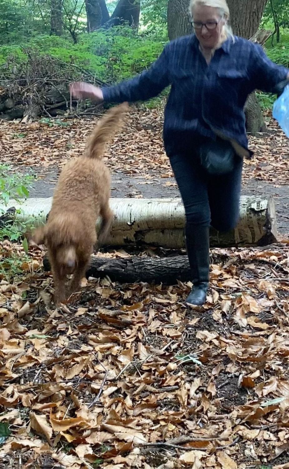 image-6