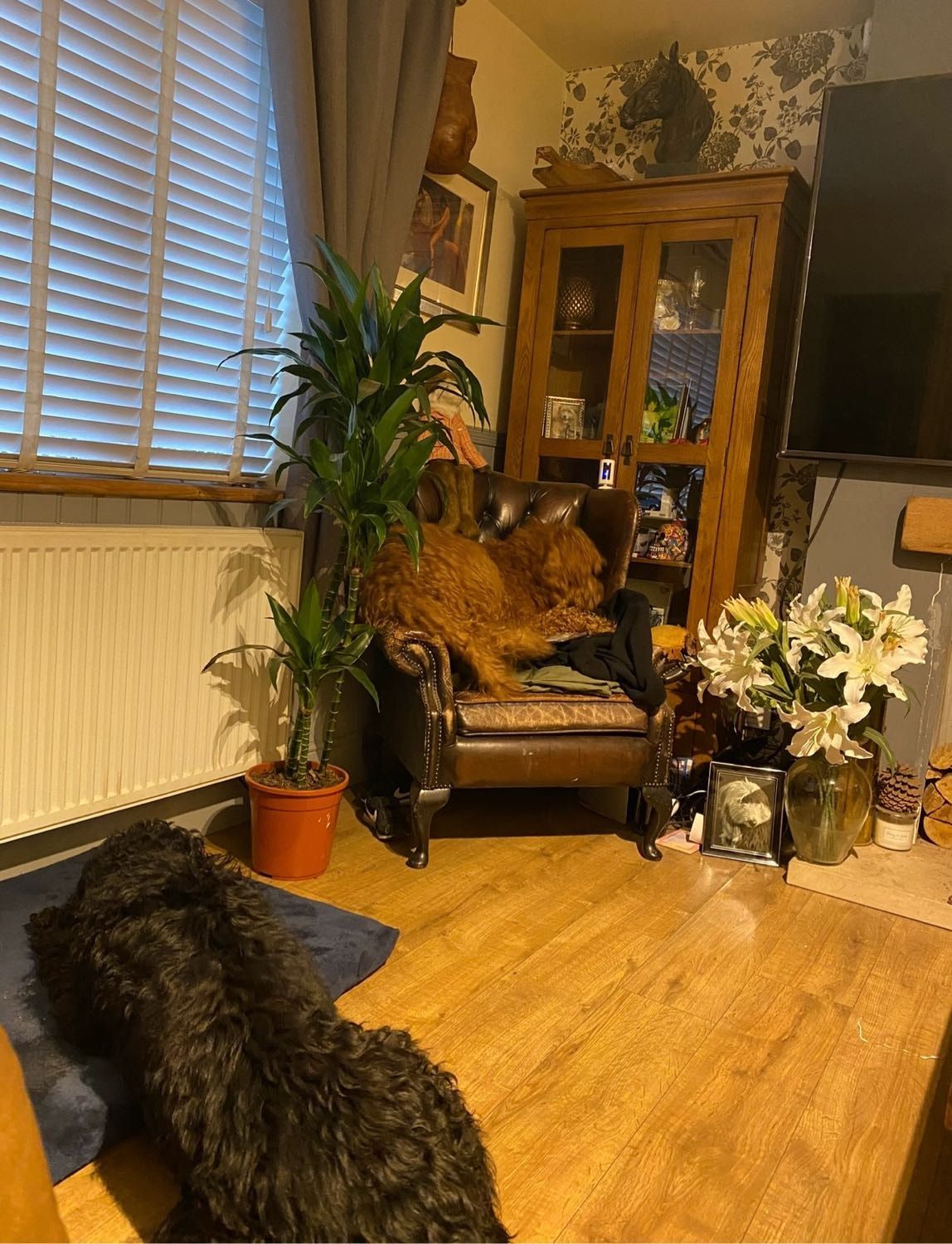 image-16