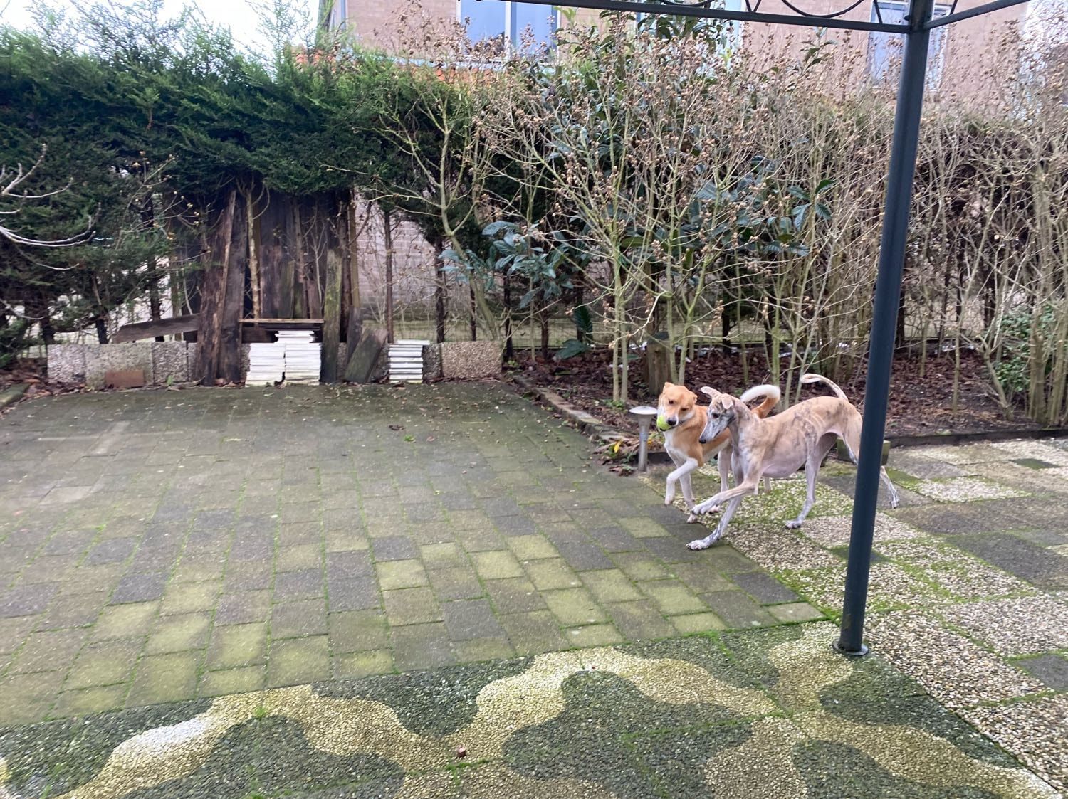 image-18