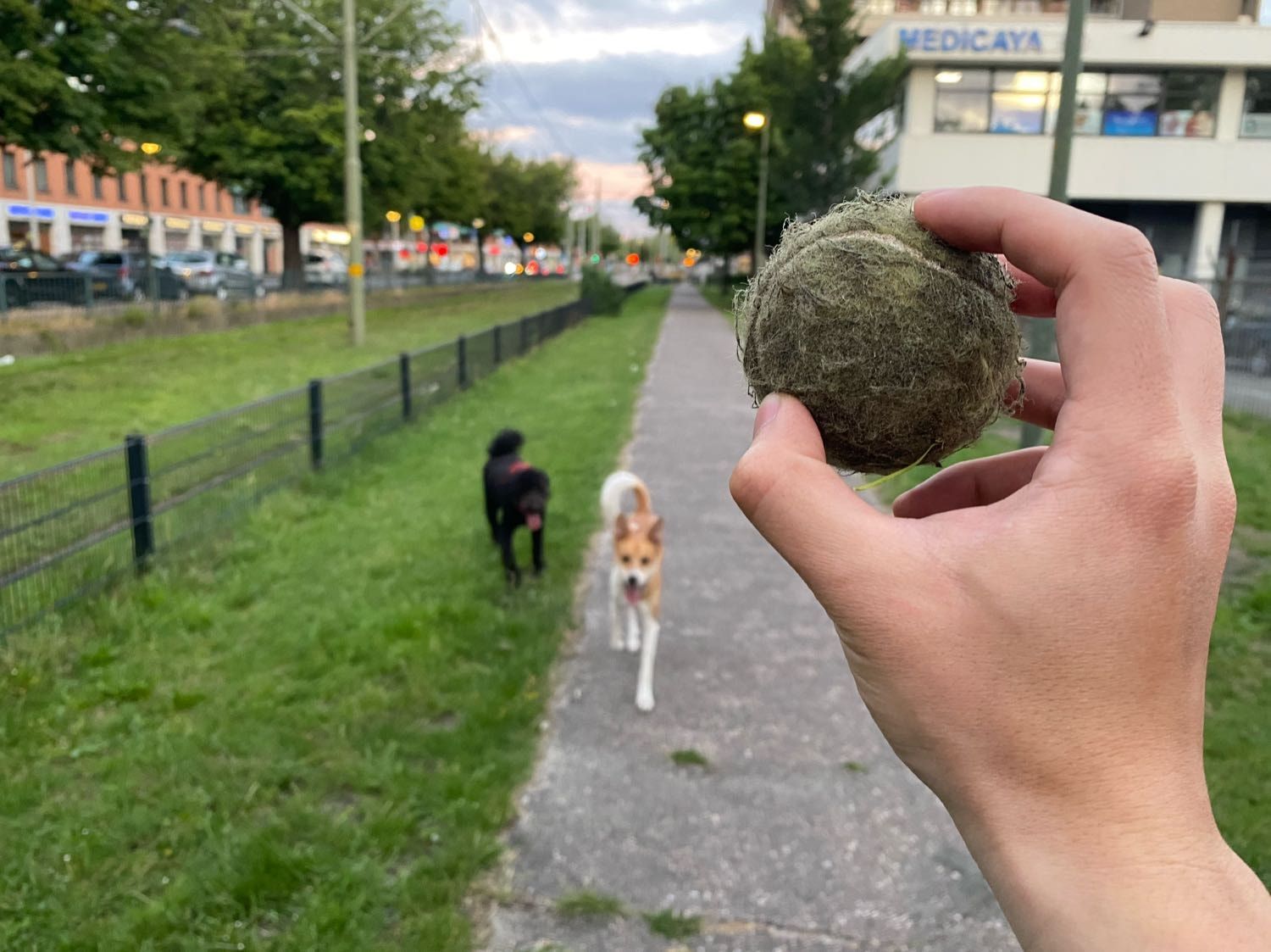 image-10