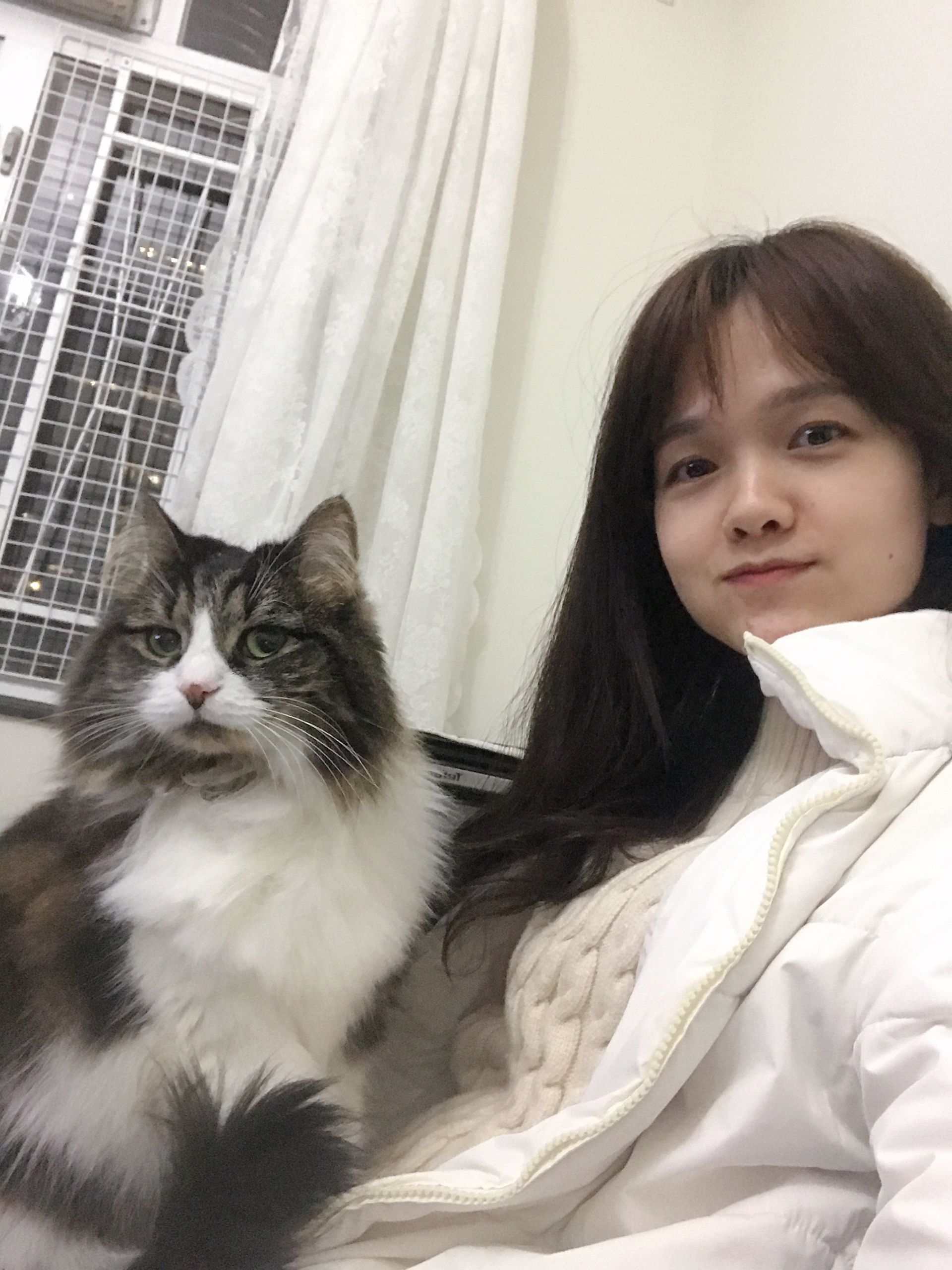 image-10