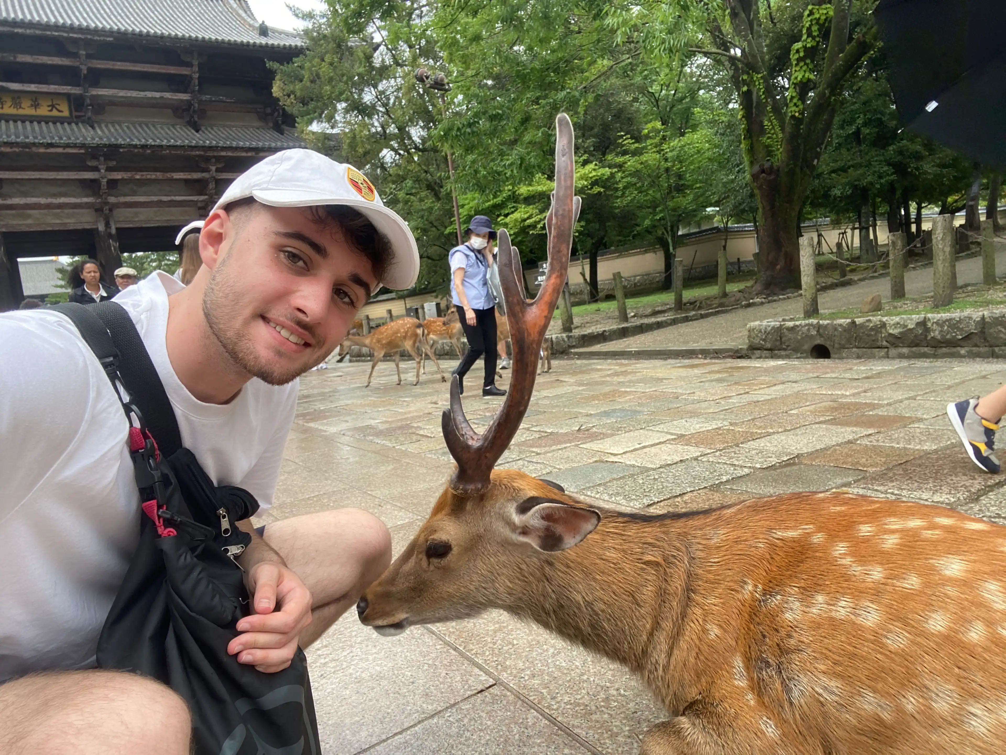 image-10
