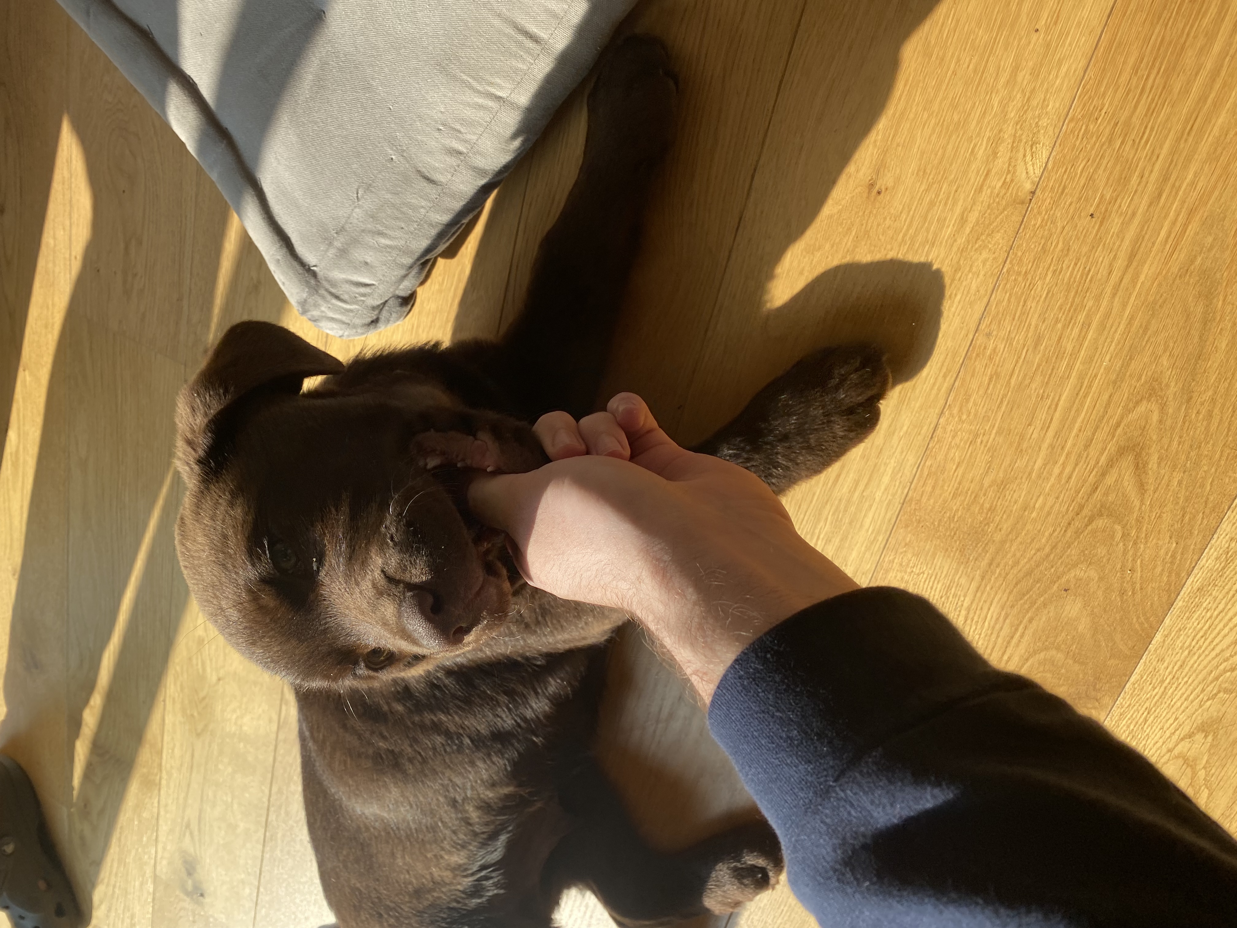 image-5
