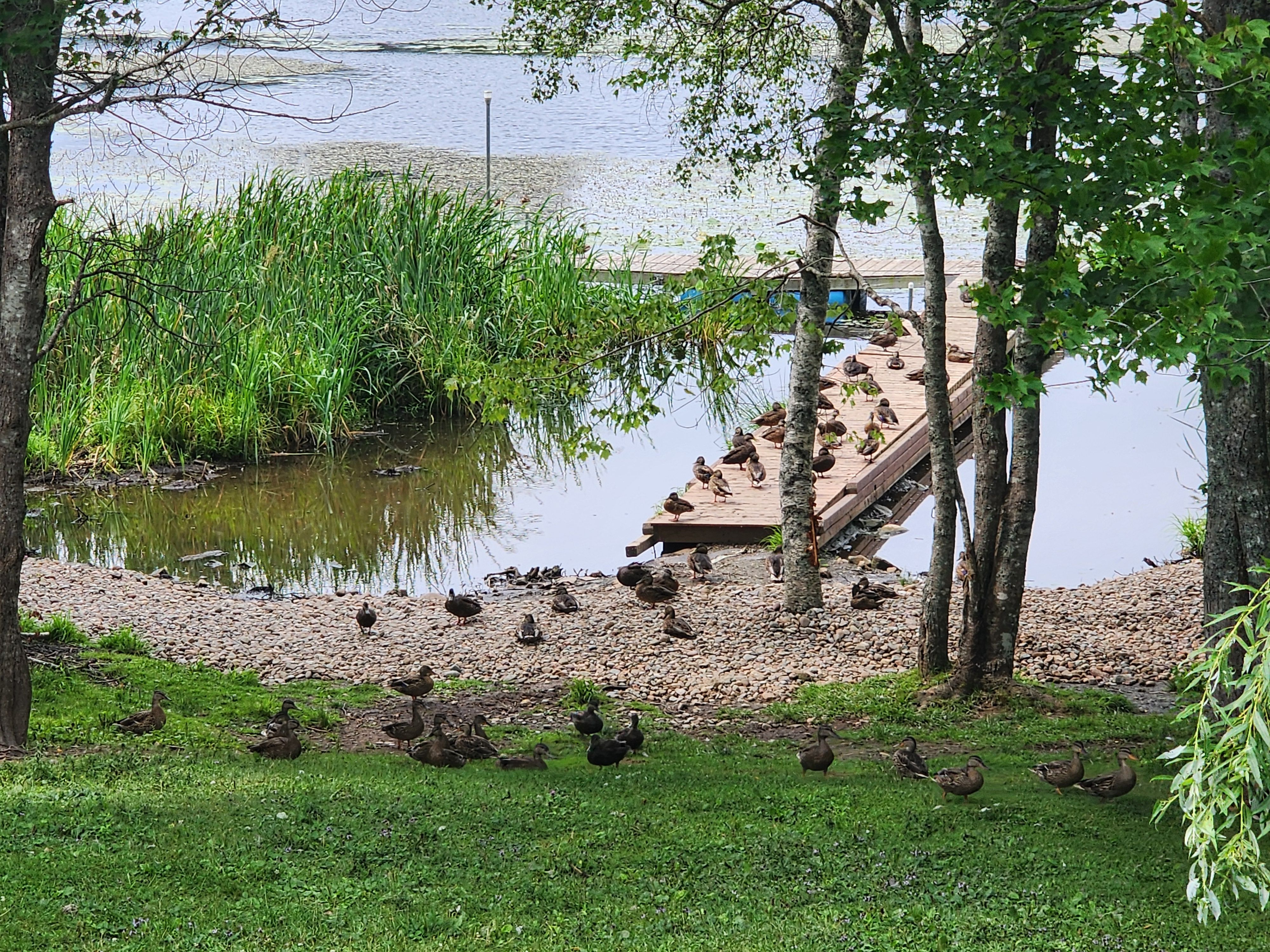 image-27