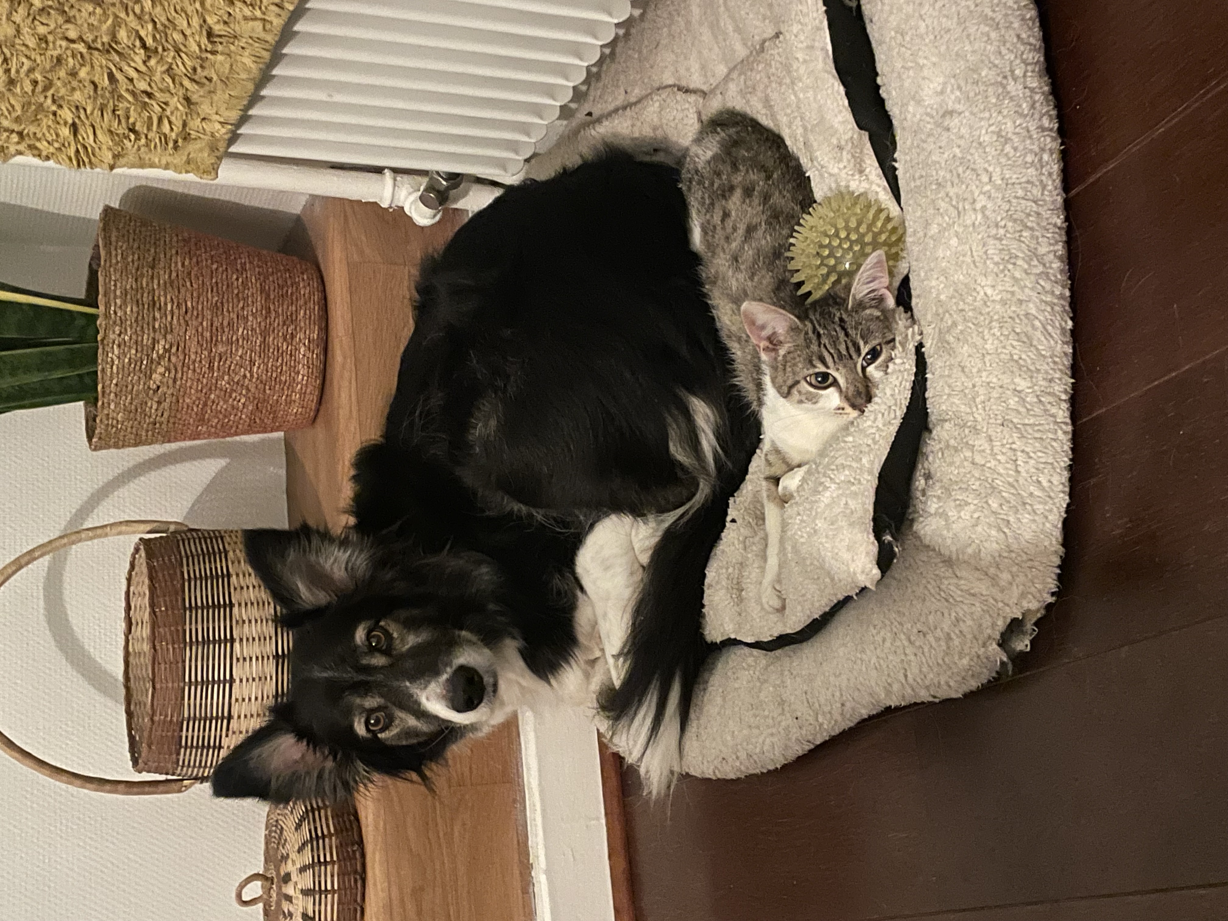image-6