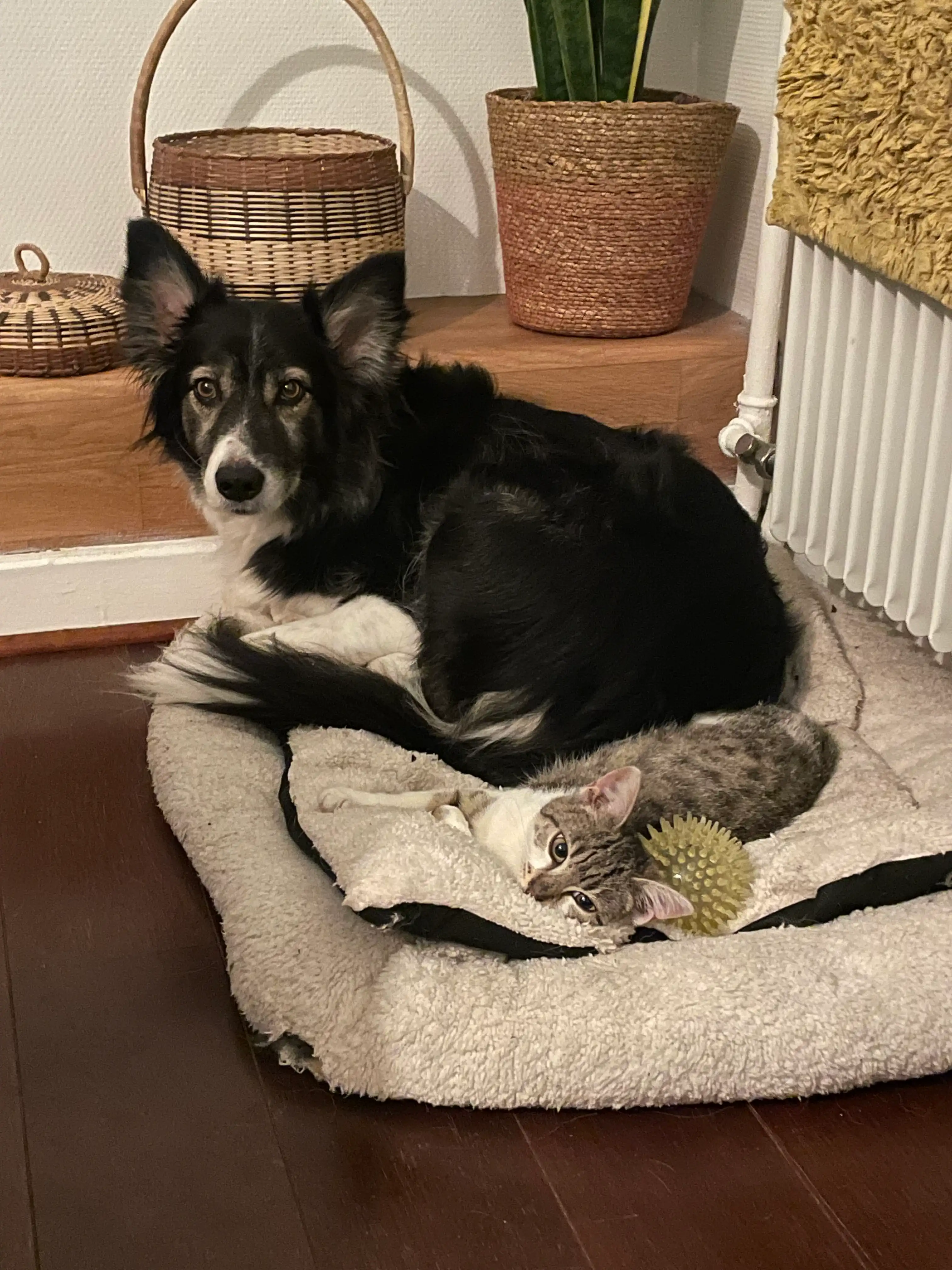 image-6
