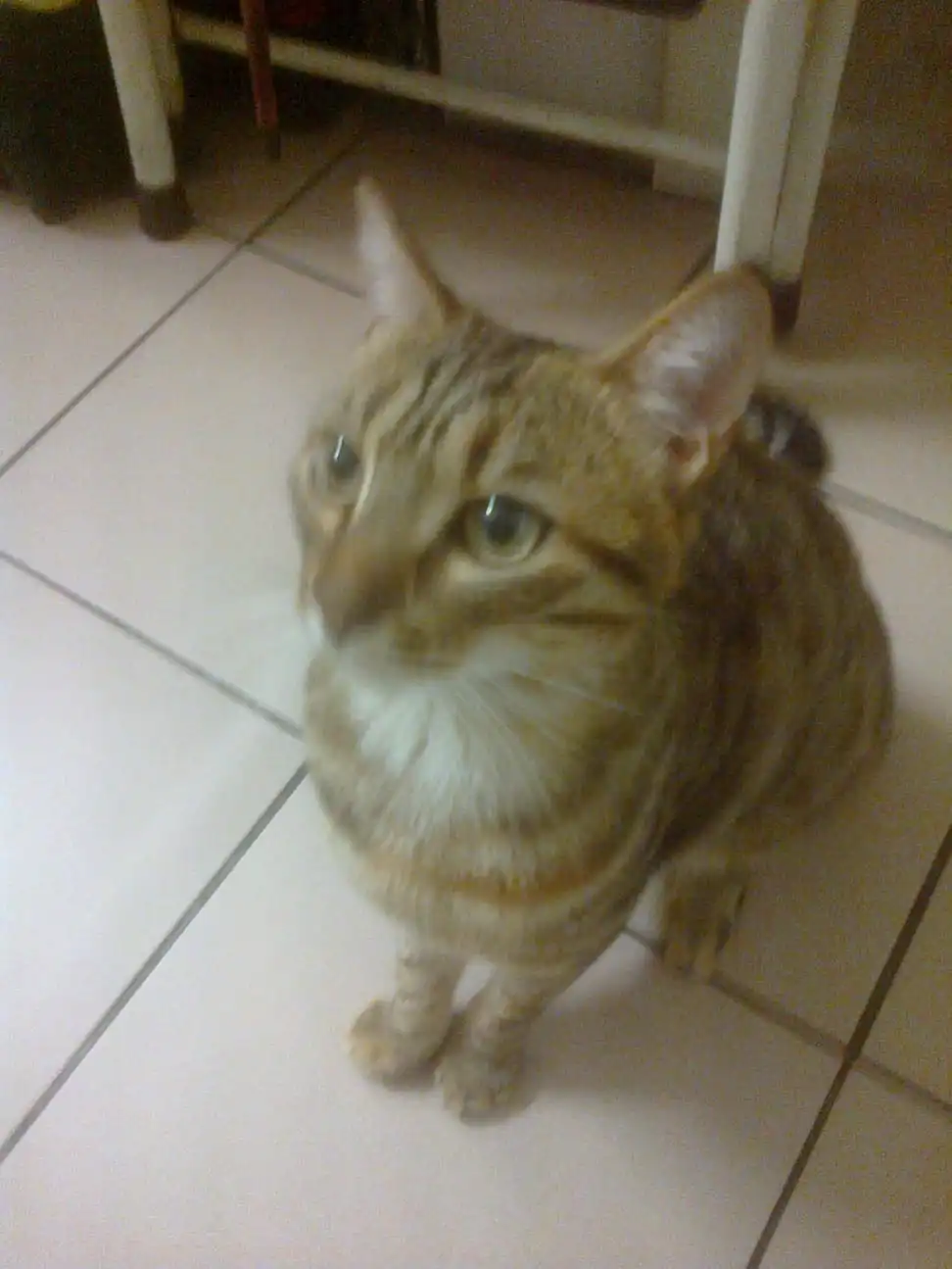 image-6