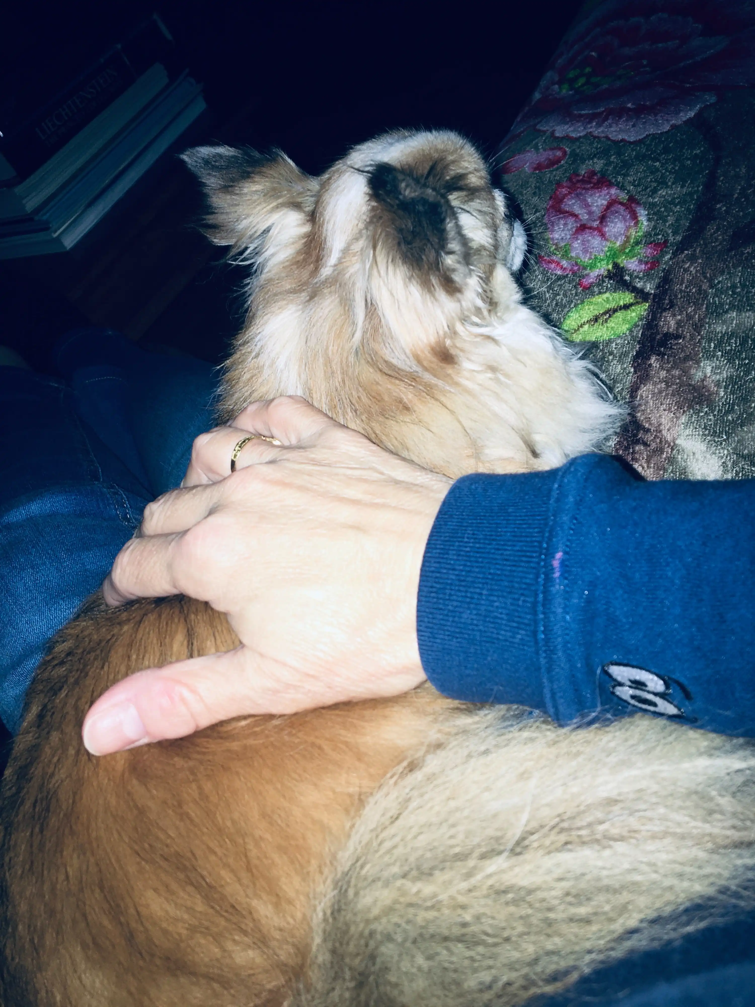 image-6