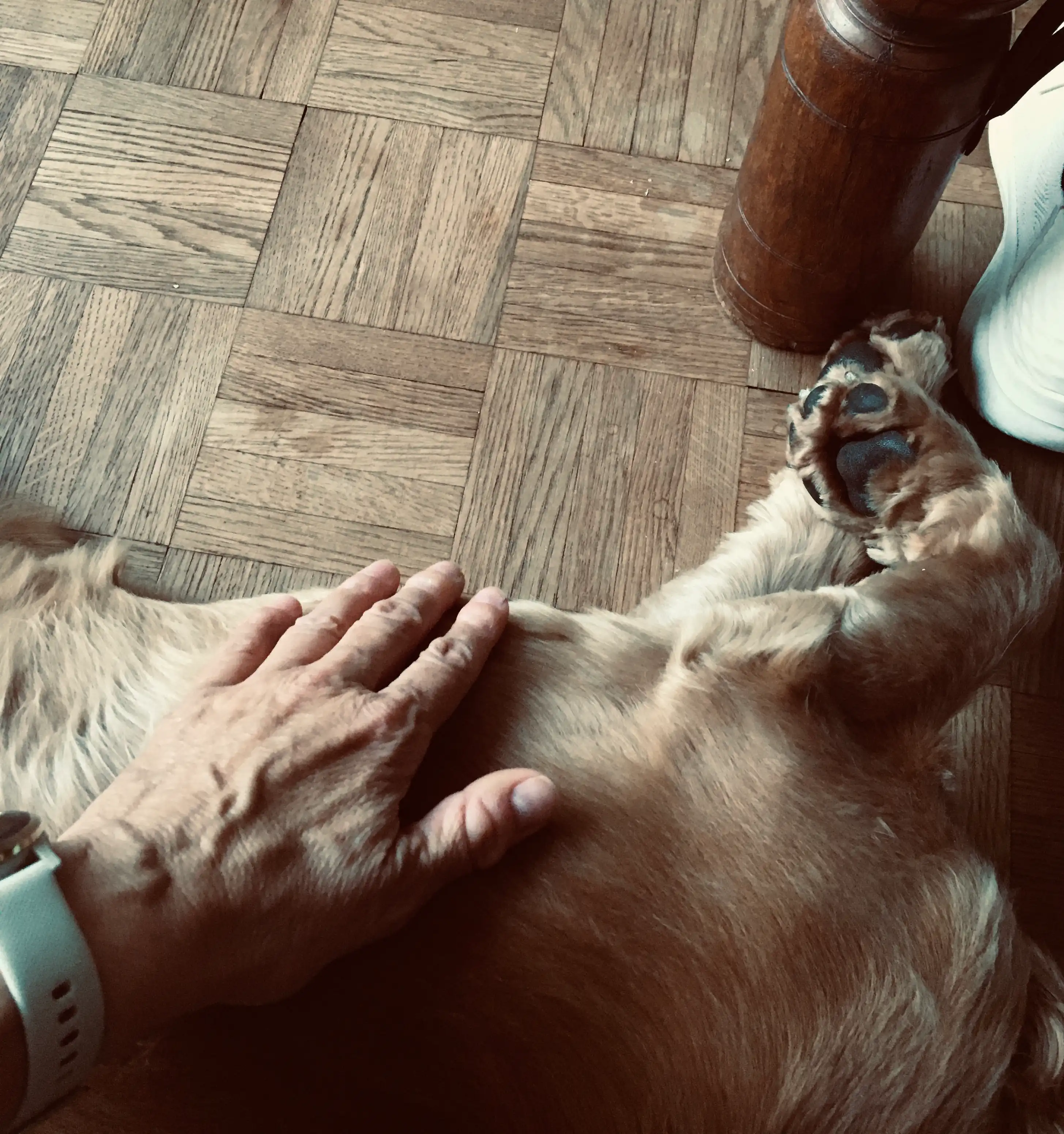 image-15