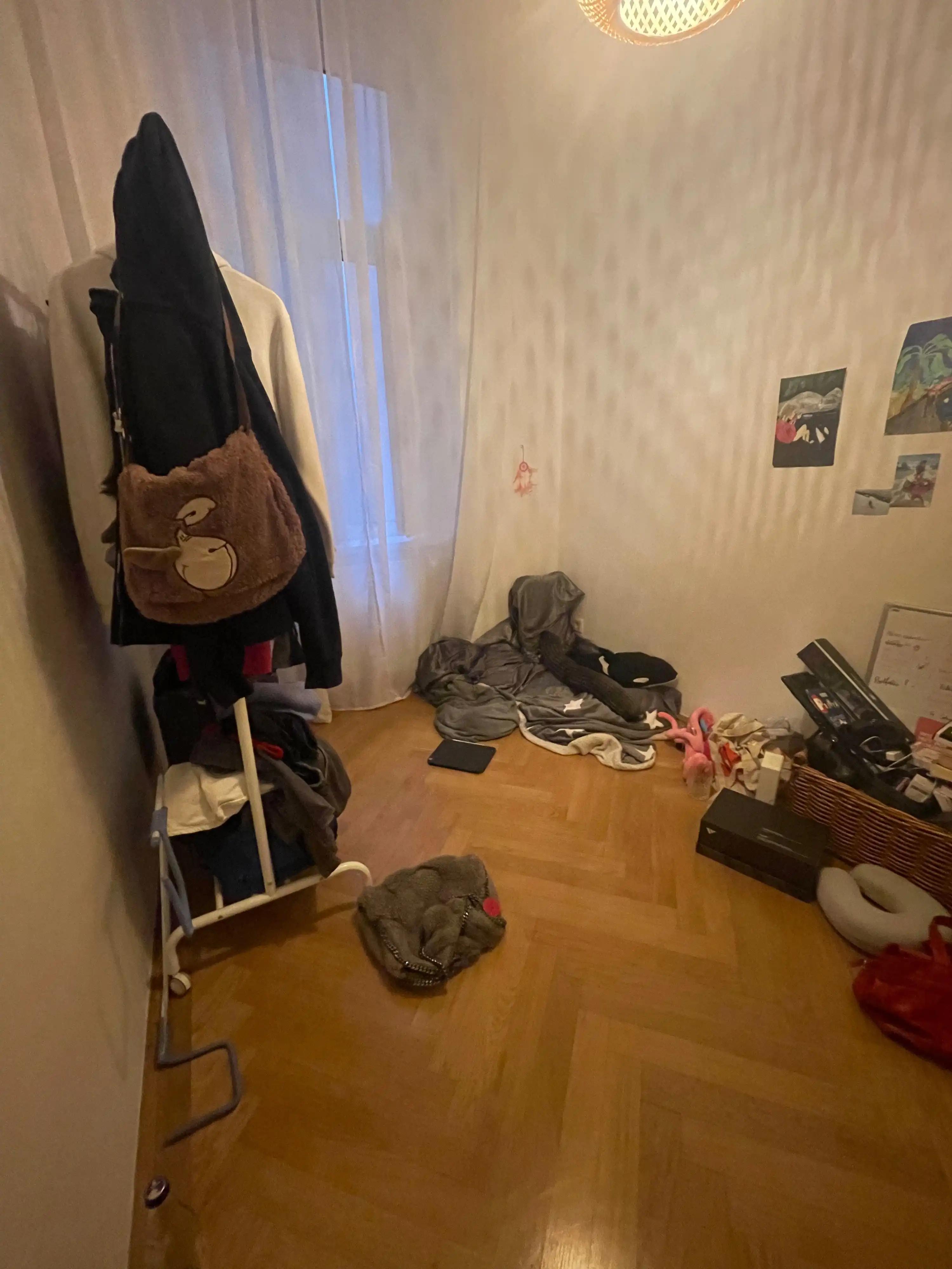 image-7