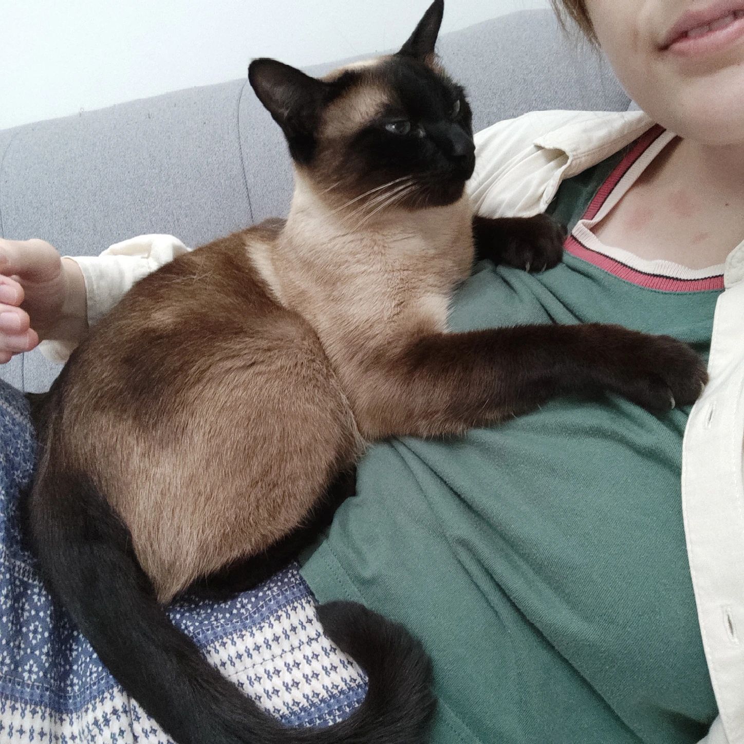image-8